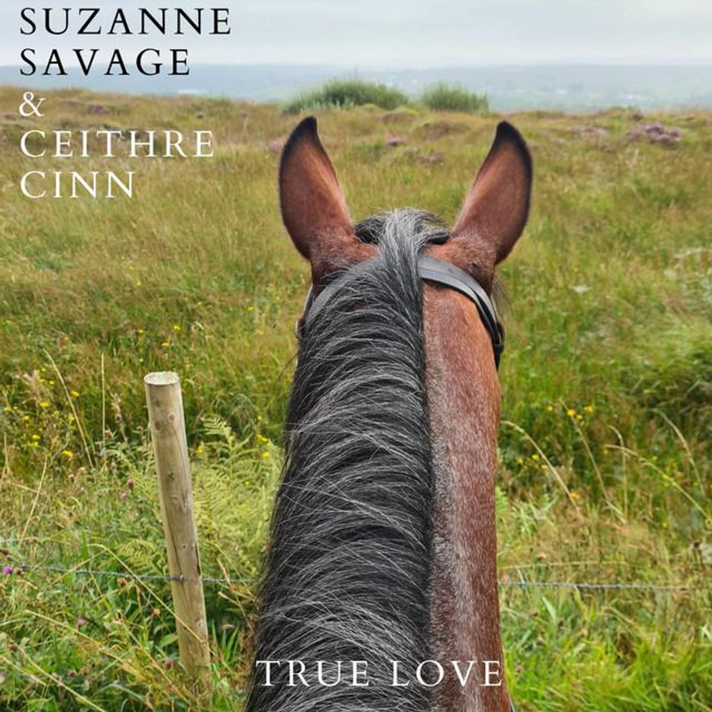 Suzanne Savage Brand Page