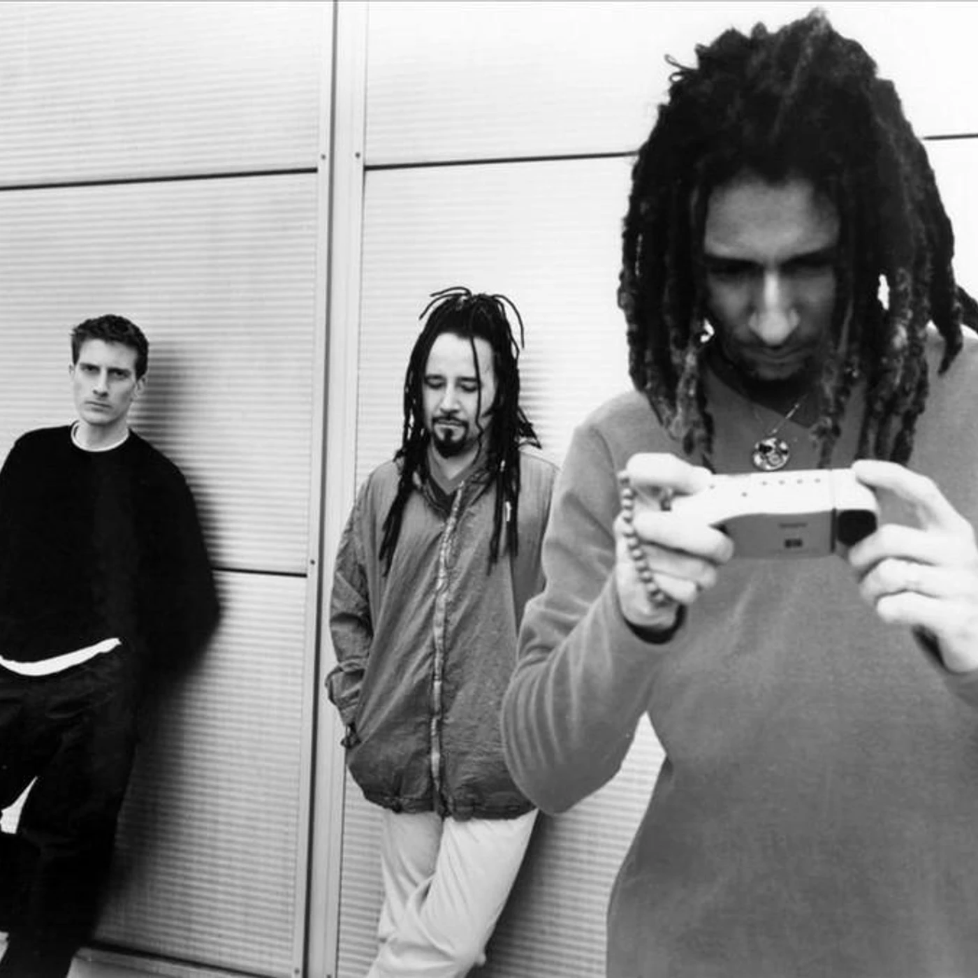 Sweetback