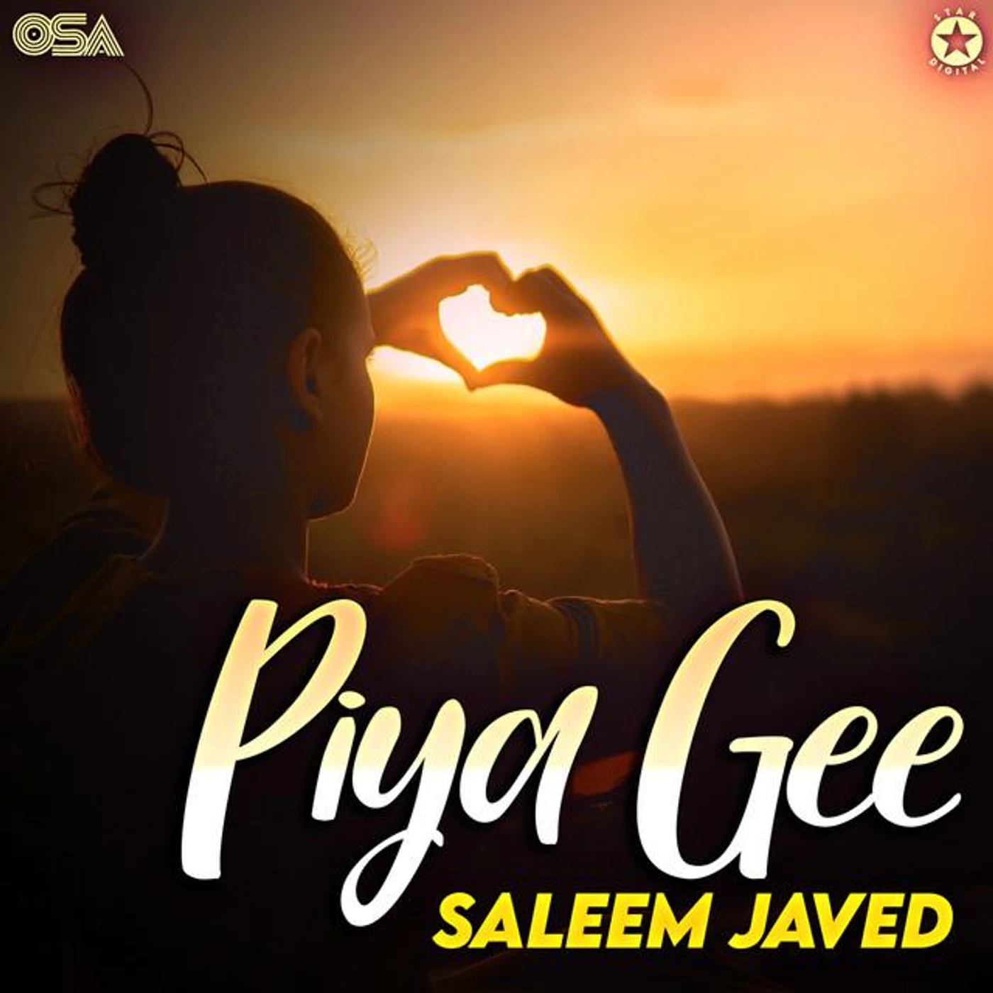 Saleem Javed Brand Page