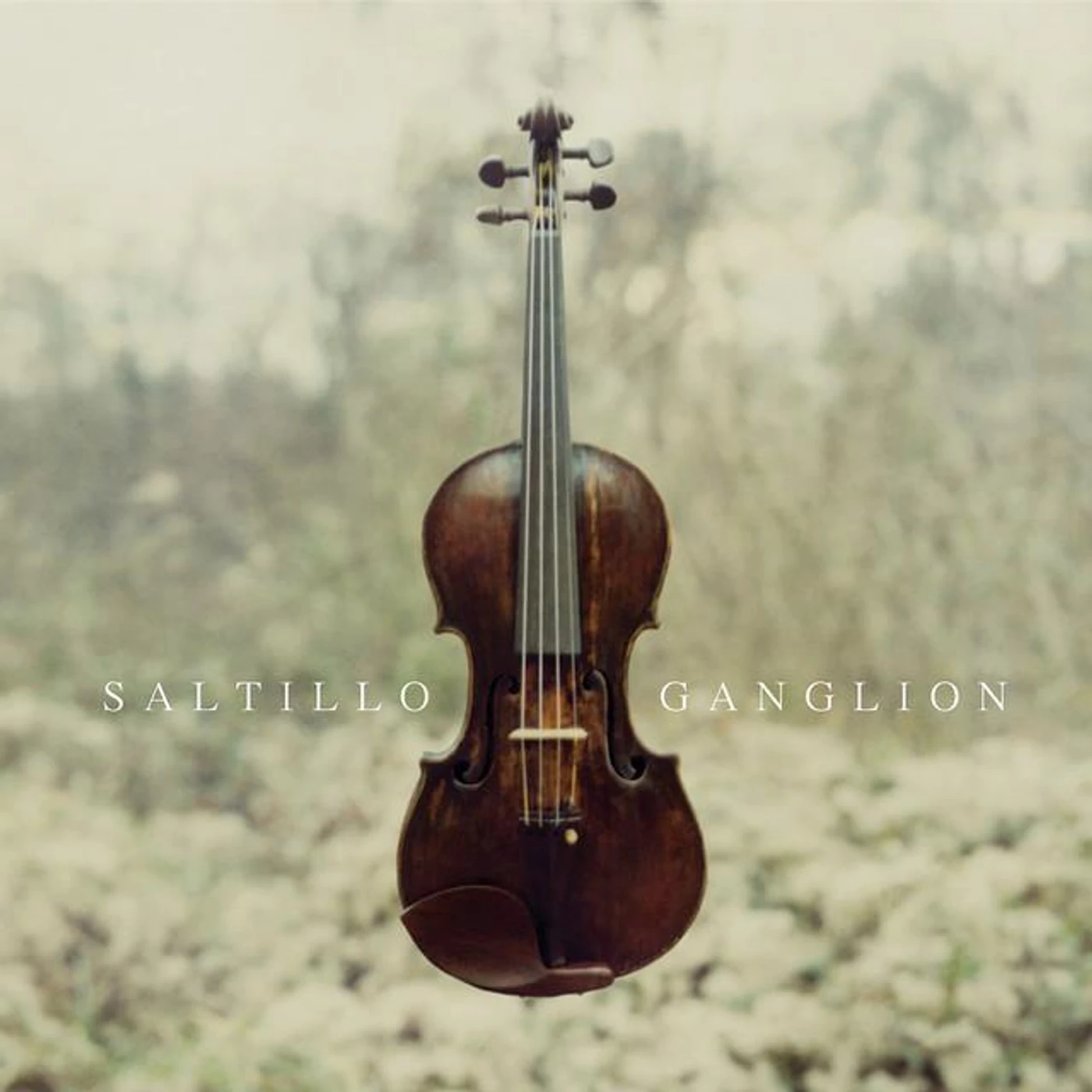 Saltillo Brand Page