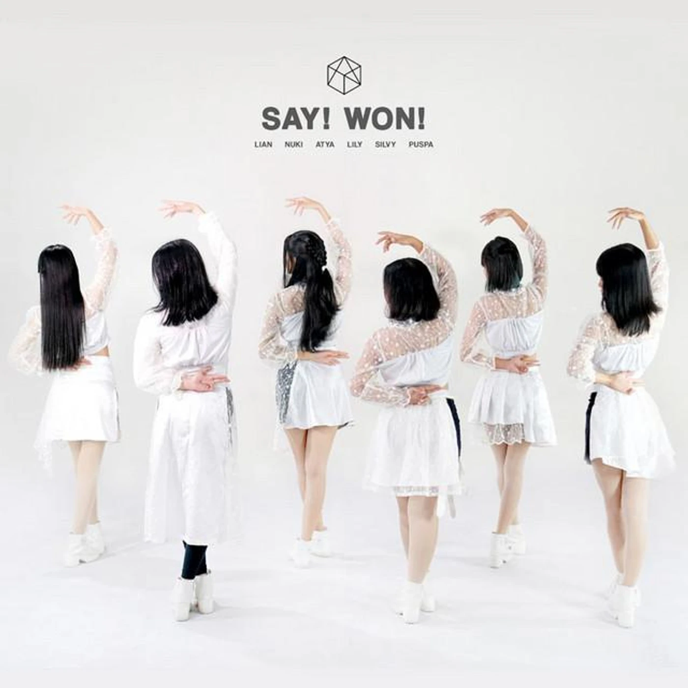 Saywon Brand Page