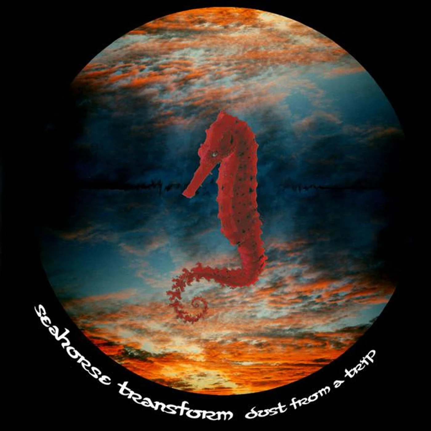 Seahorse Transform Brand Page