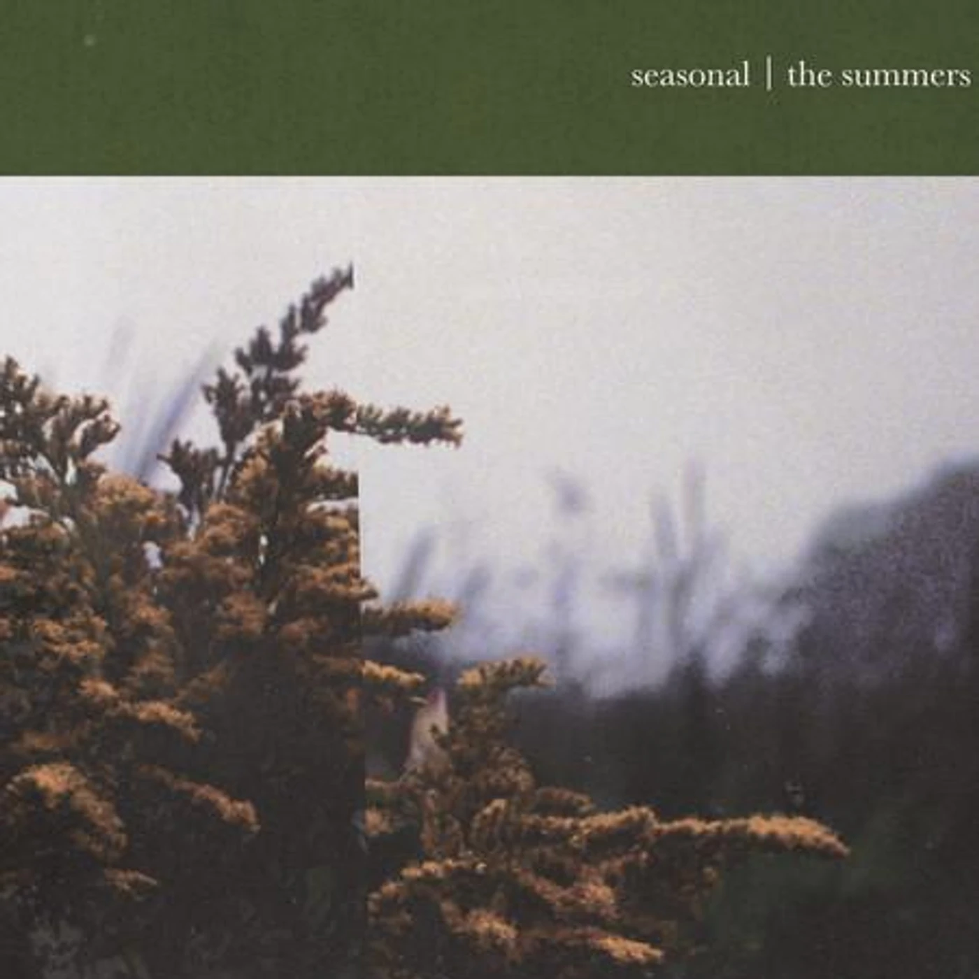 seasonal Brand Page