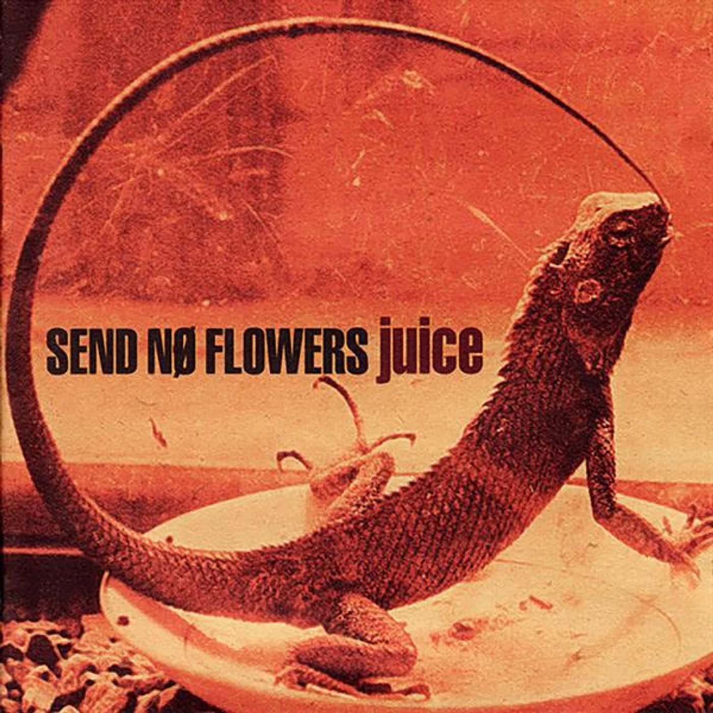 Send No Flowers Brand Page