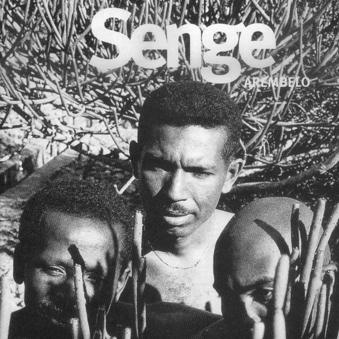 Senge Brand Page