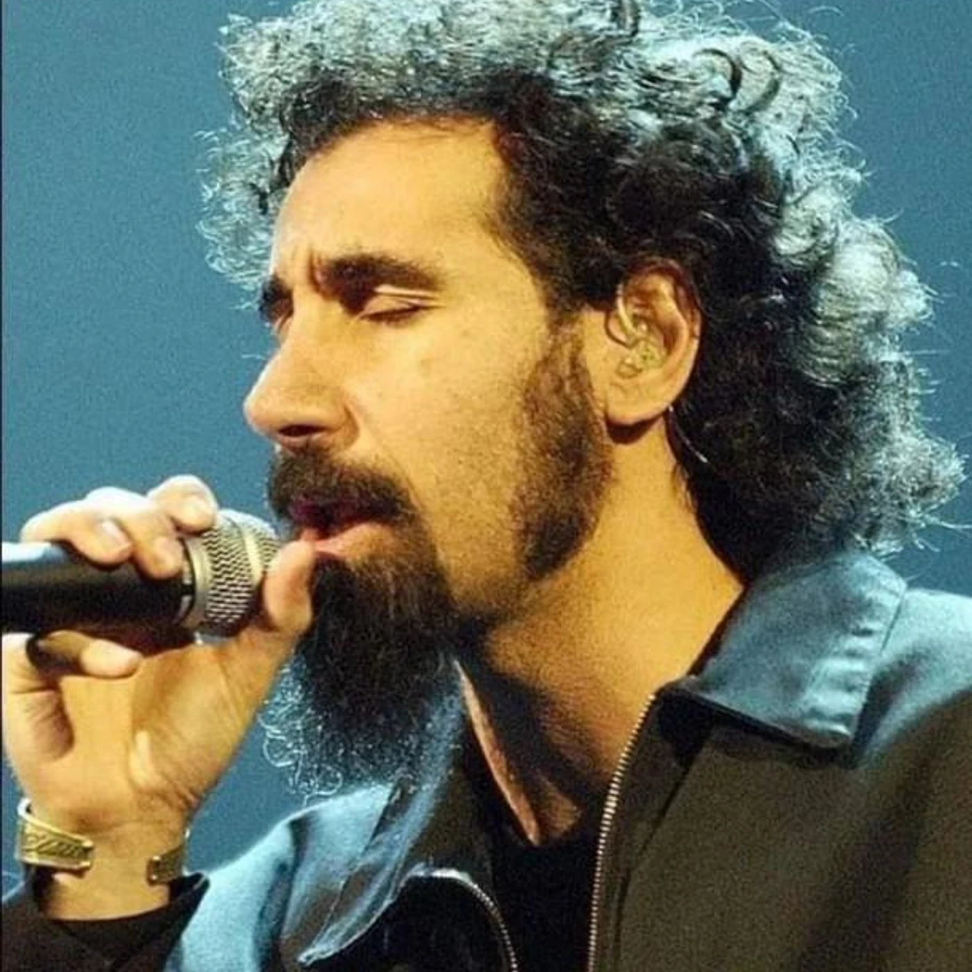 Serj Tankian Brand Page