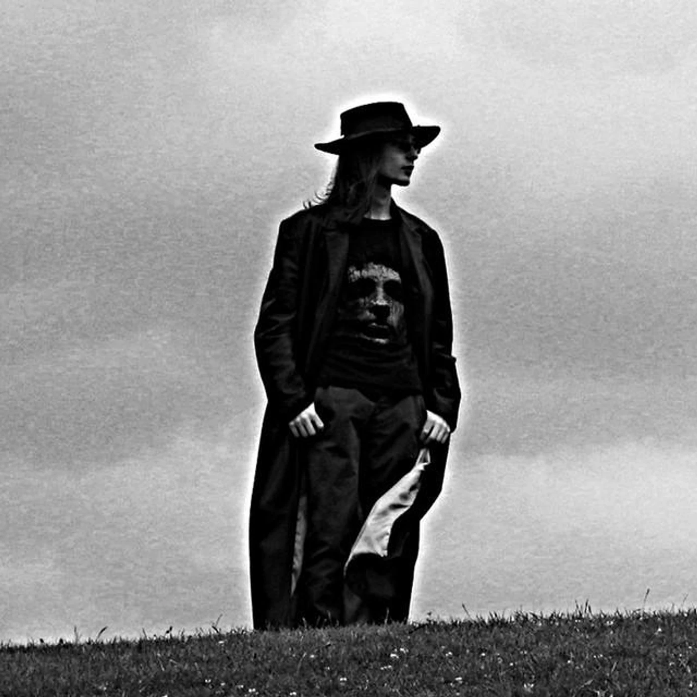 Shadowed Wood