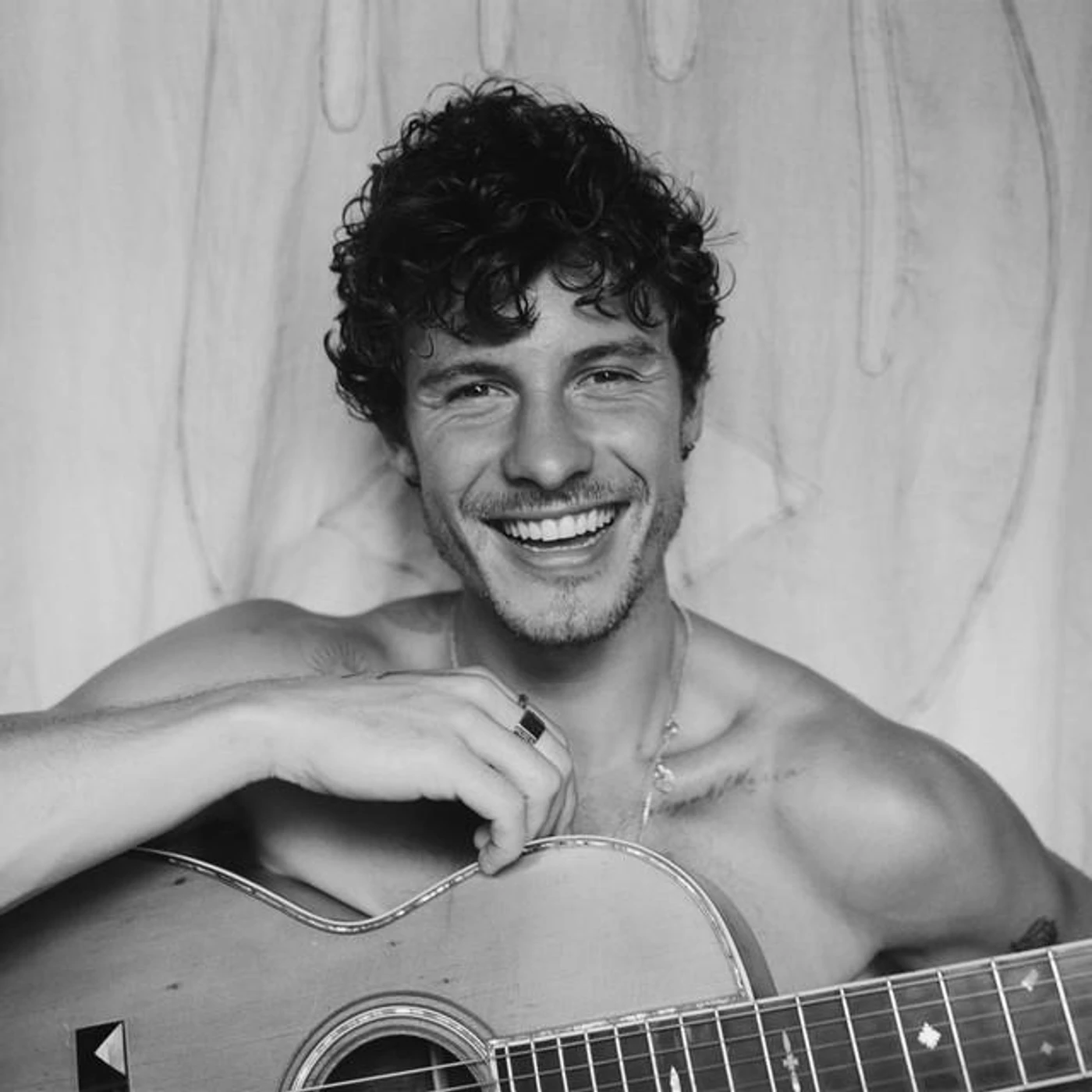 Shawn Mendes Brand Page