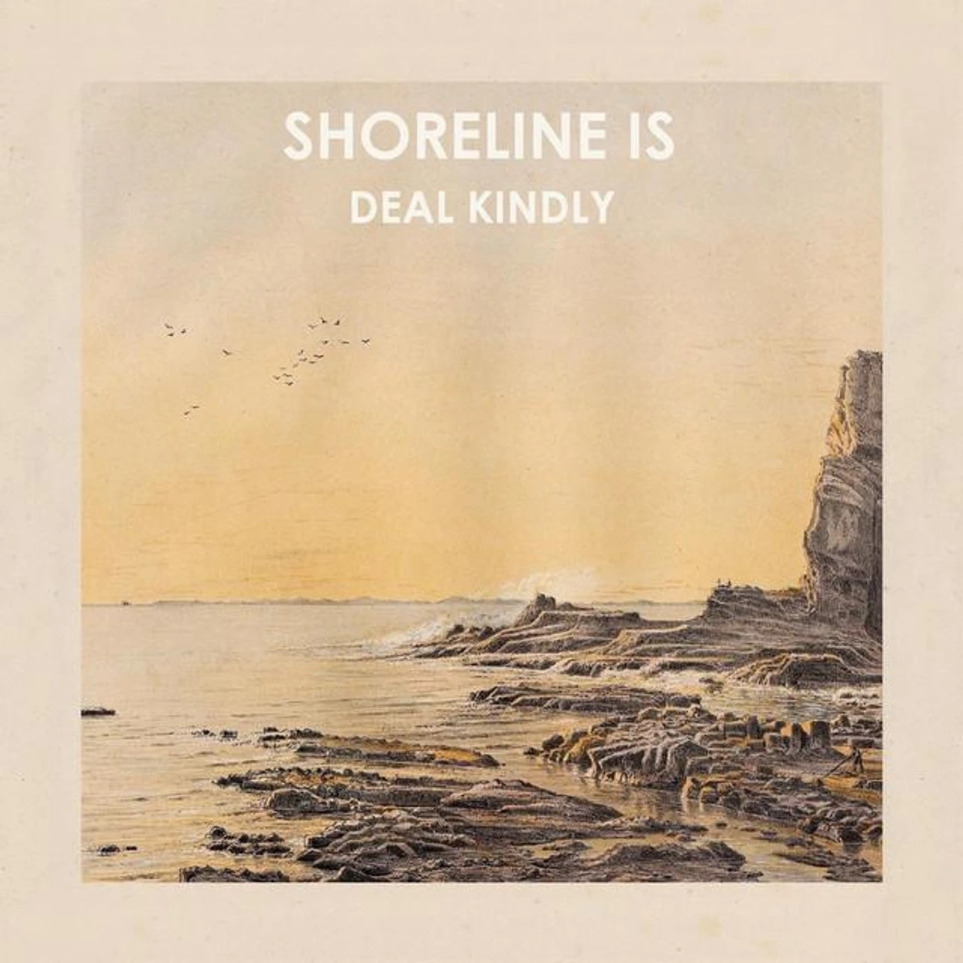 Shoreline Is Brand Page
