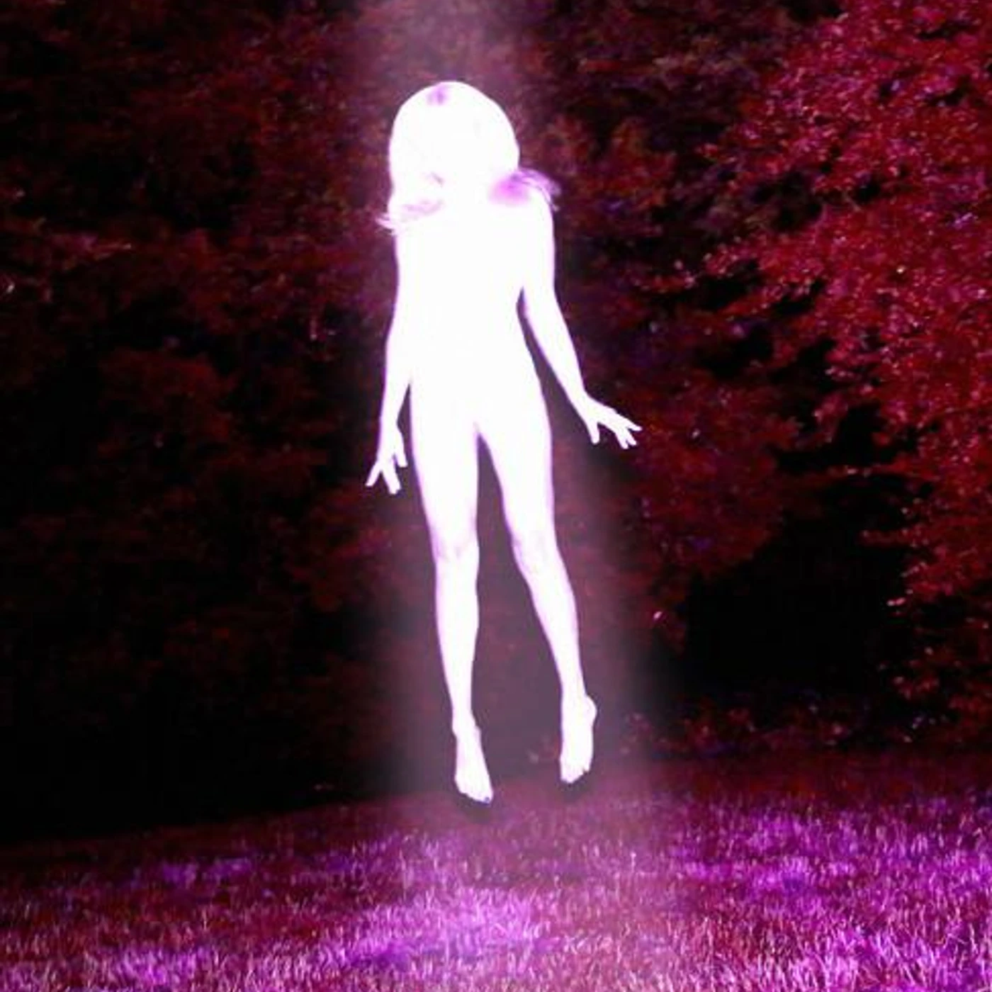 Sidewalks and Skeletons Brand Page