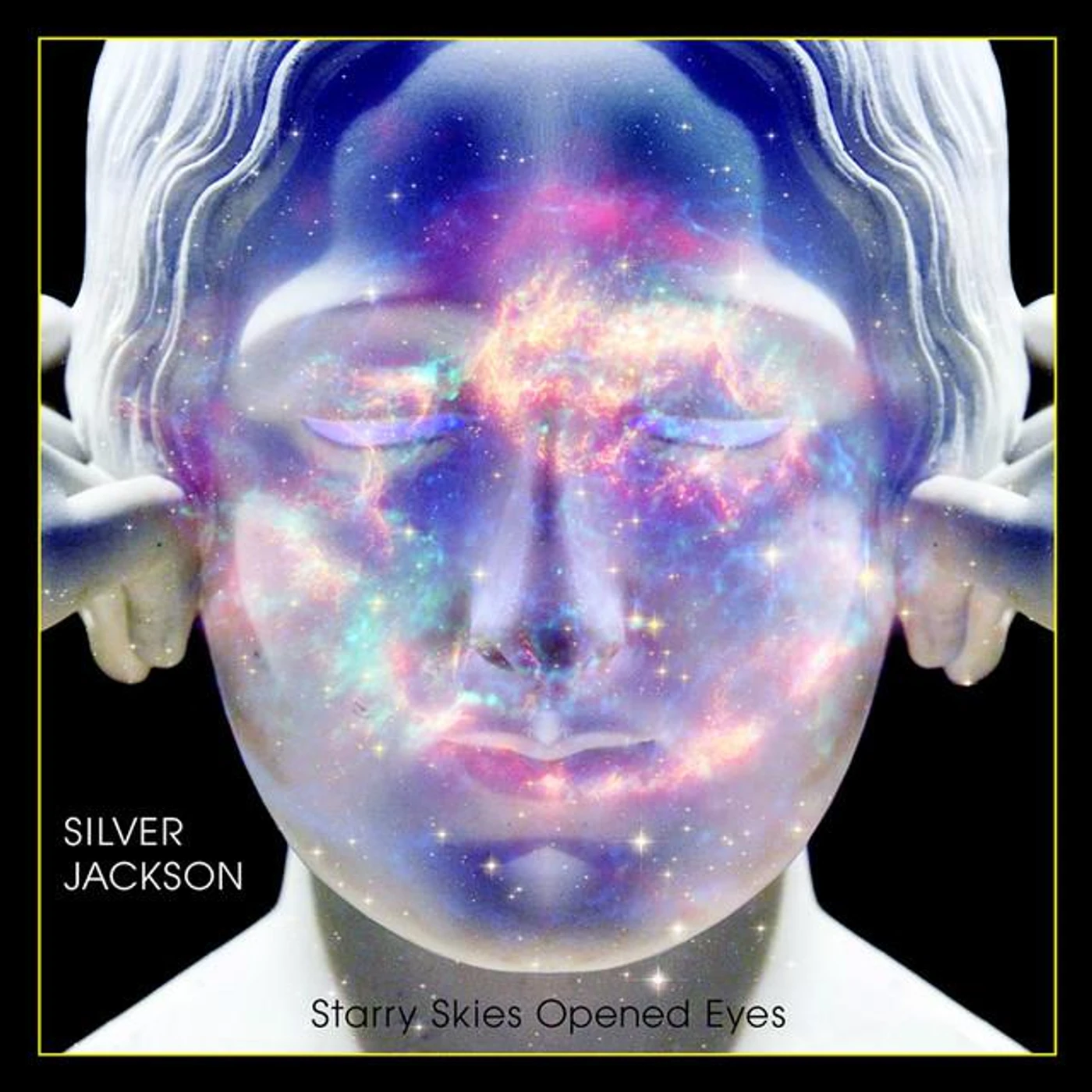 Silver Jackson Brand Page