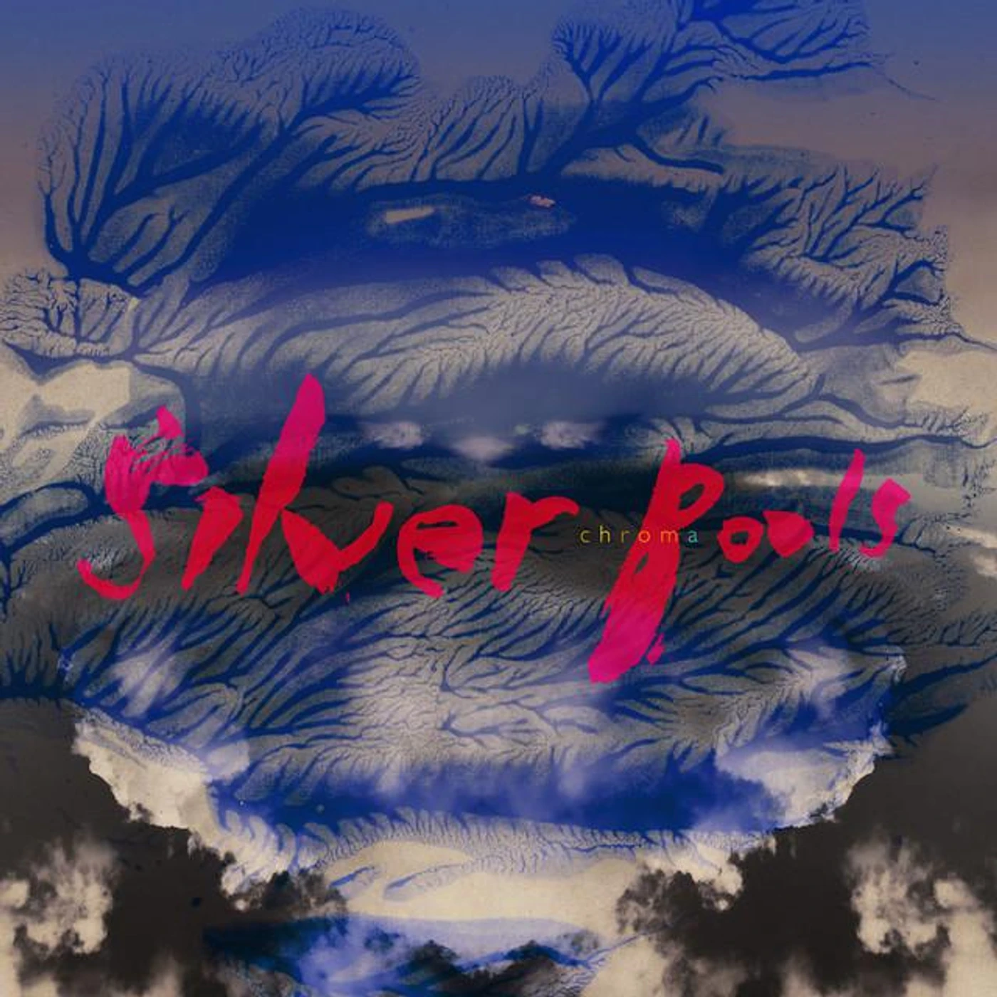 Silver Pools Brand Page