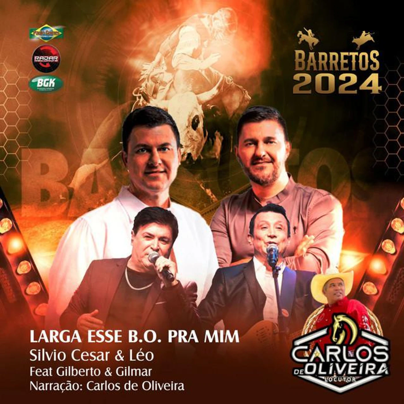 Silvio Cesar Brand Page