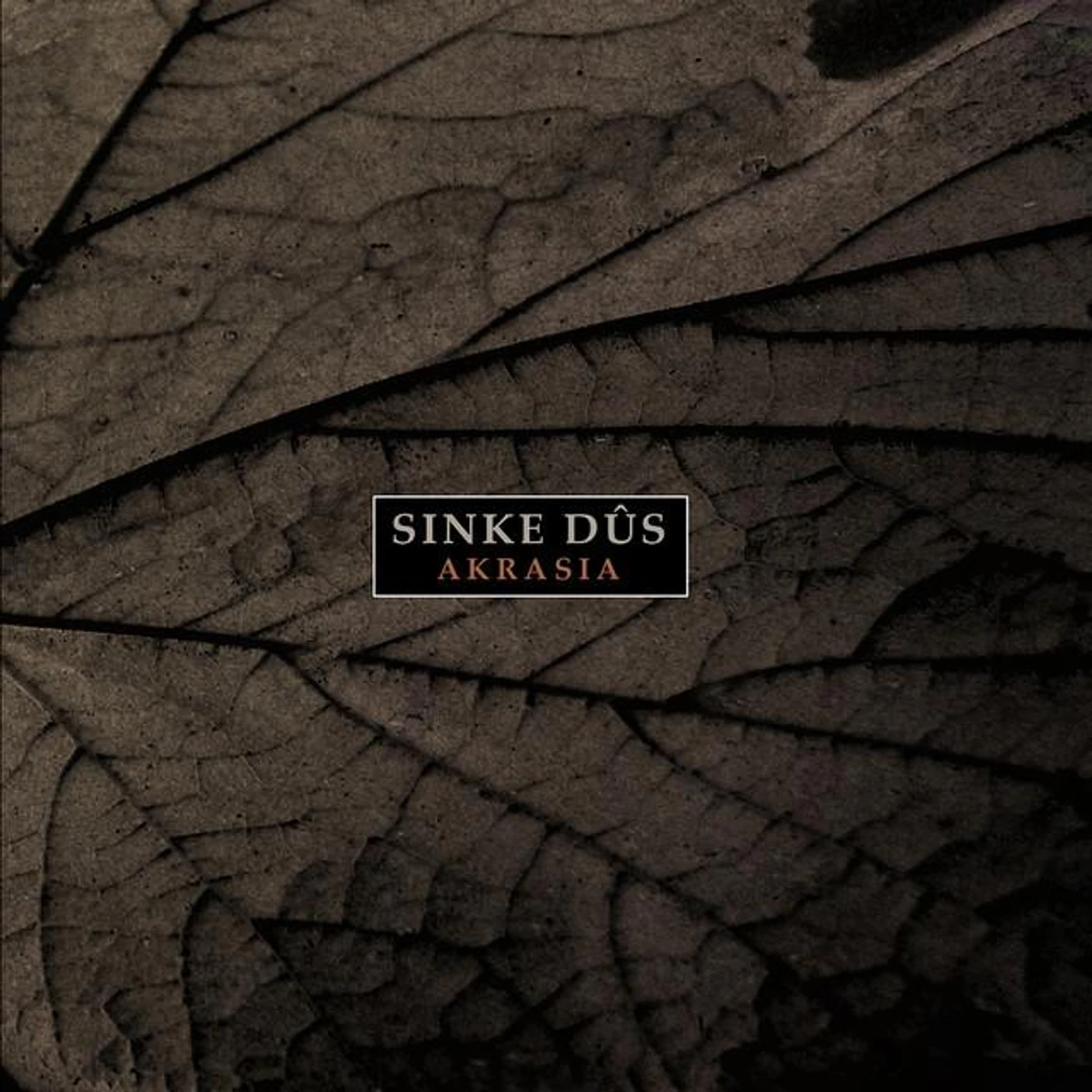 Sinke Dûs Brand Page