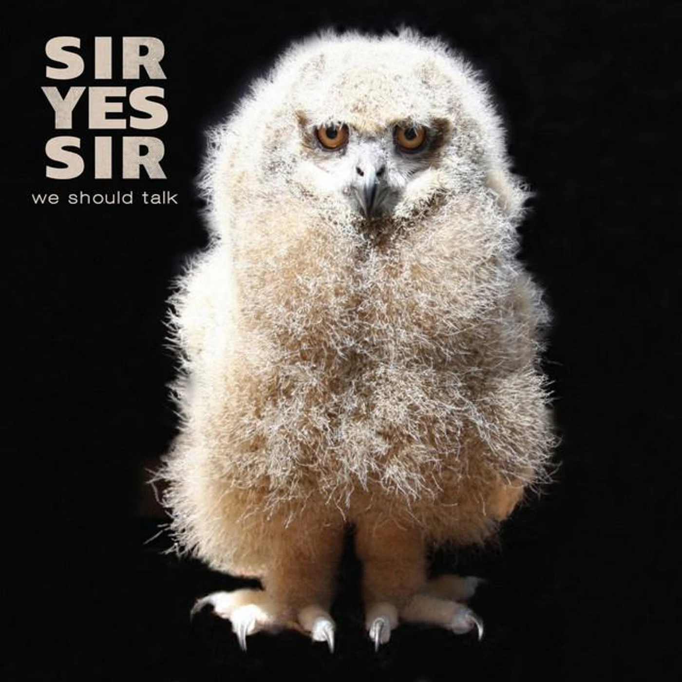 Sir Yes Sir