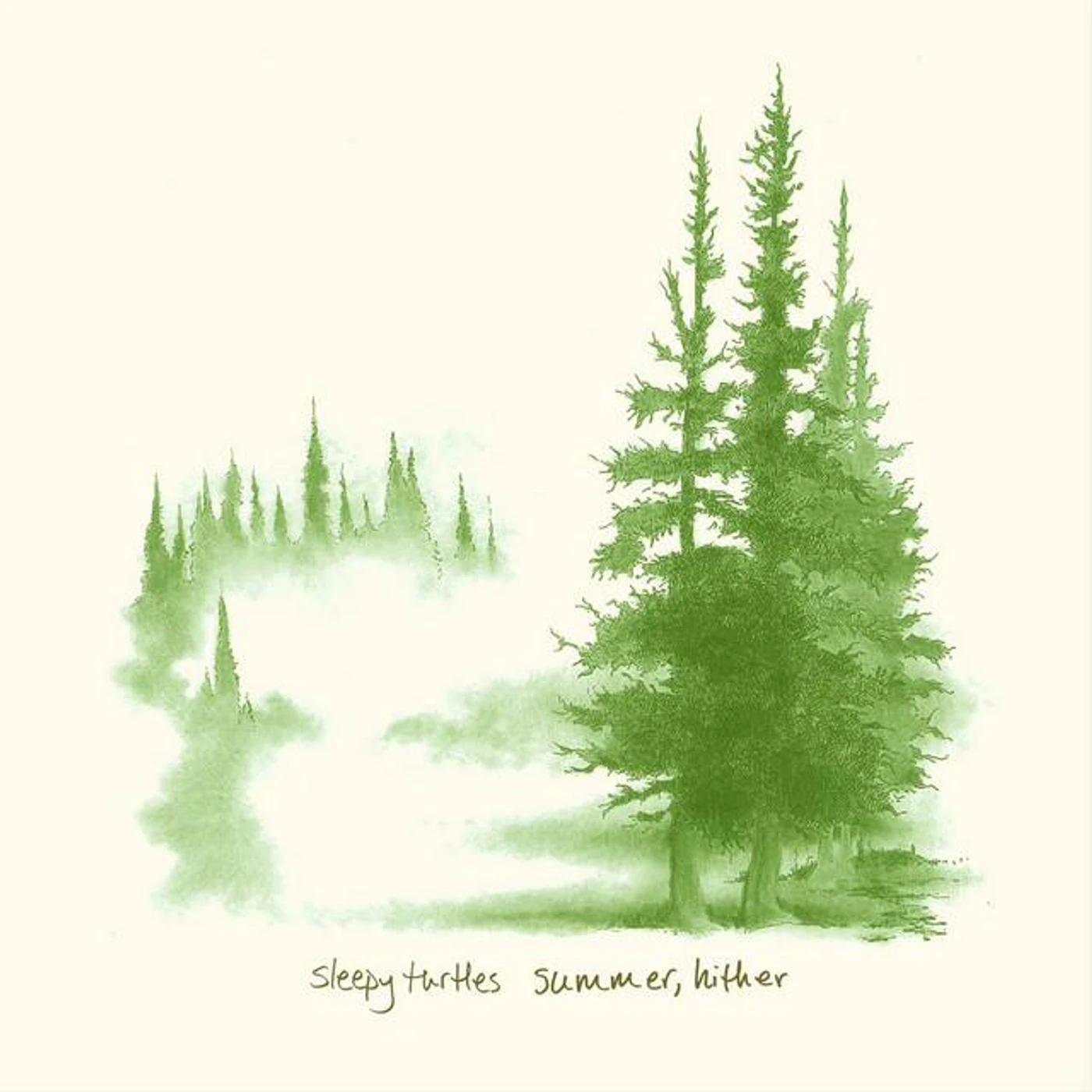 Sleepy Turtles Brand Page