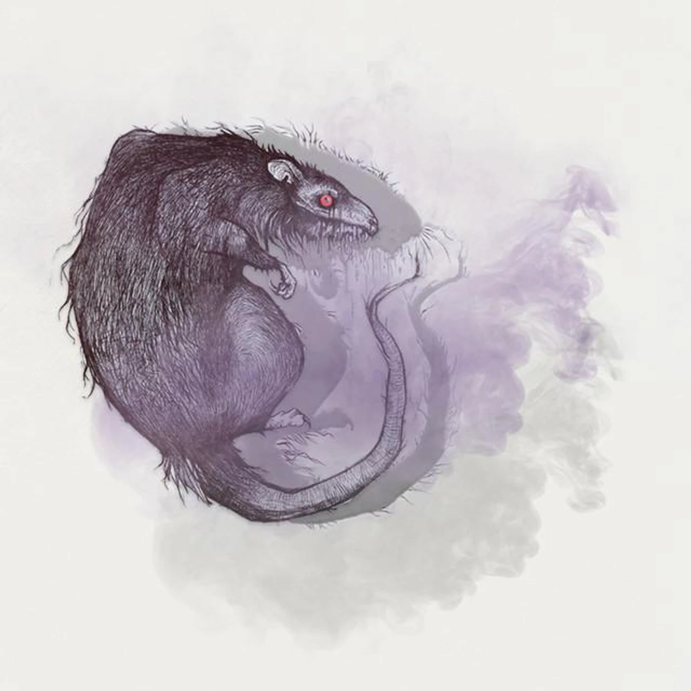 Smoking Rats Brand Page