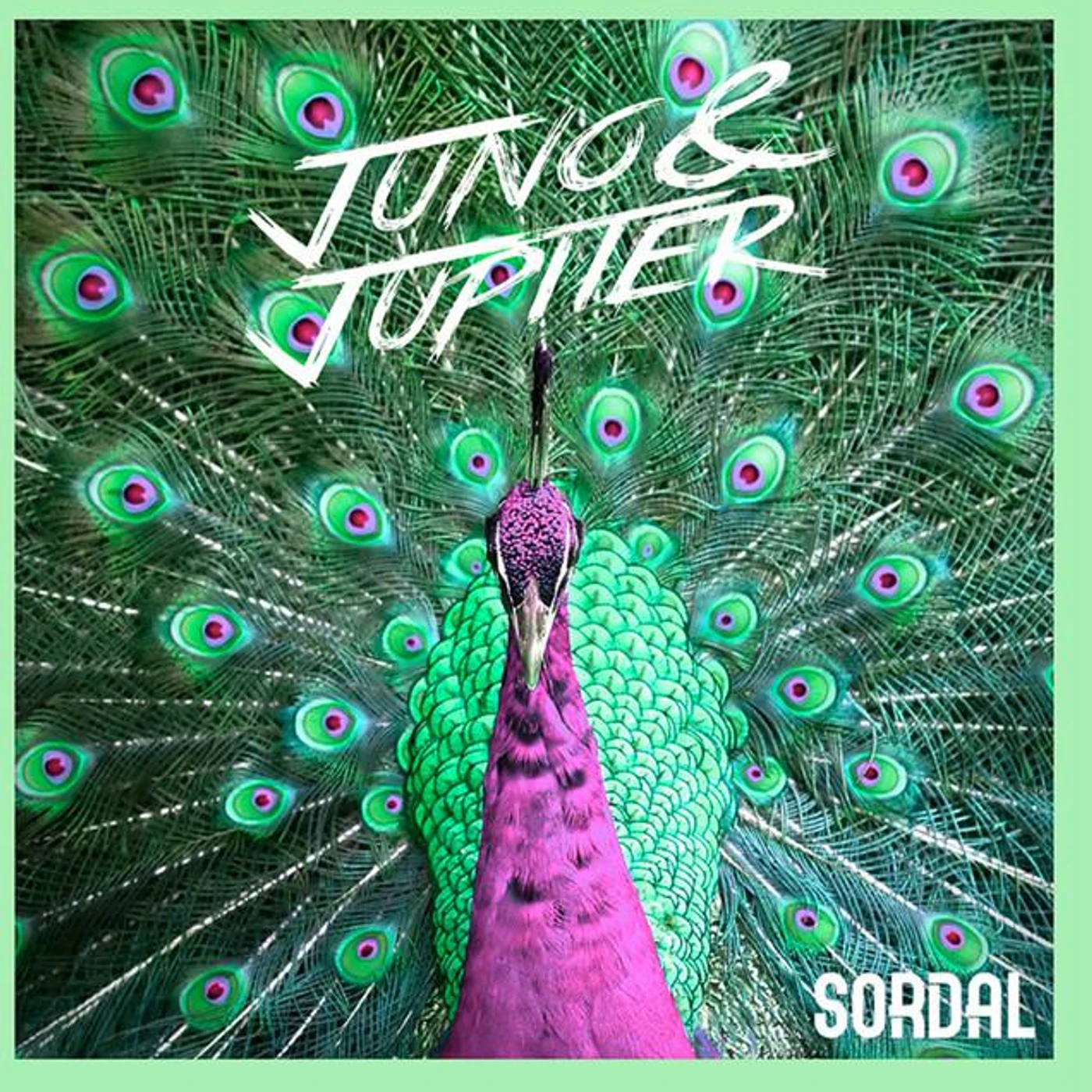 Sordal Brand Page