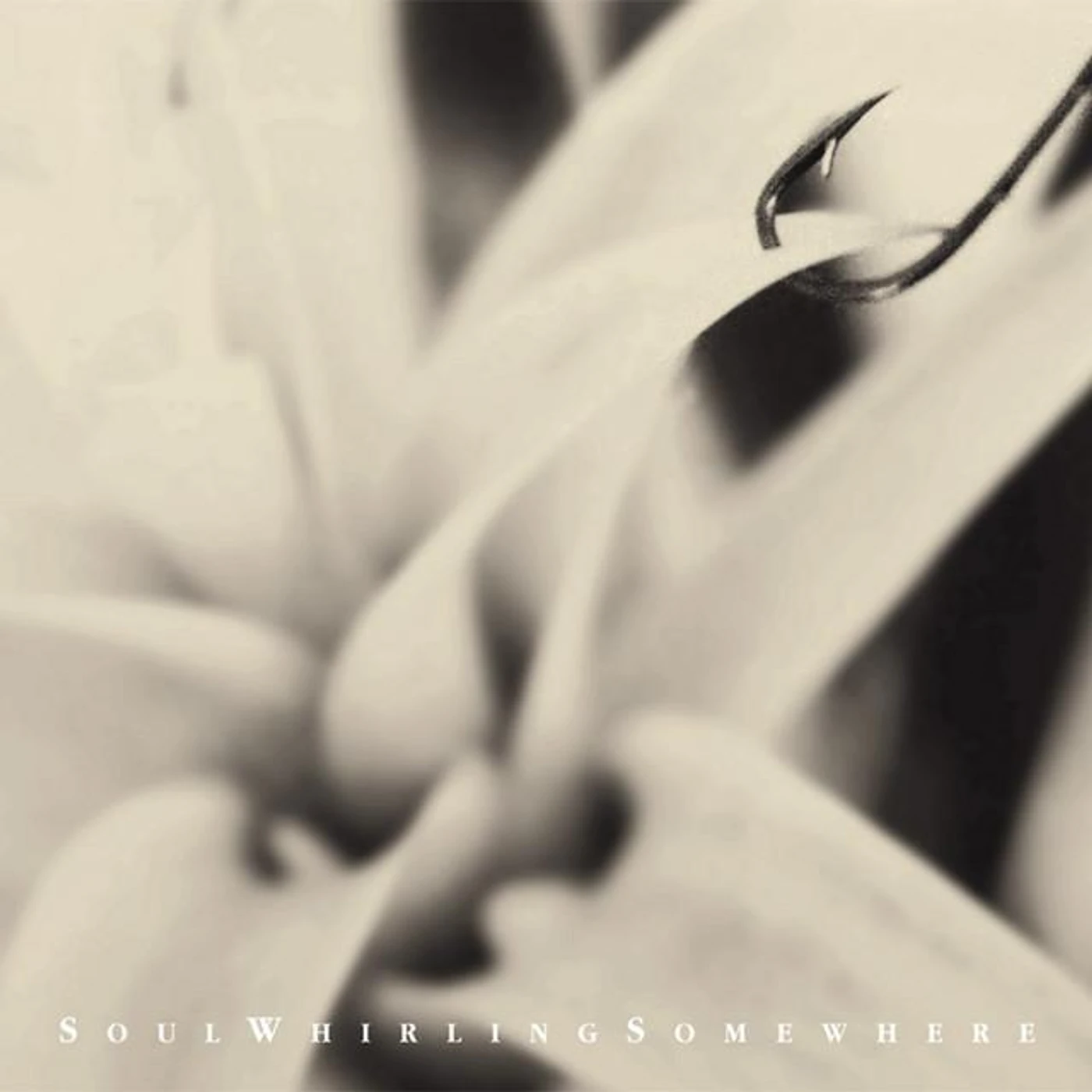 Soulwhirlingsomewhere Brand Page