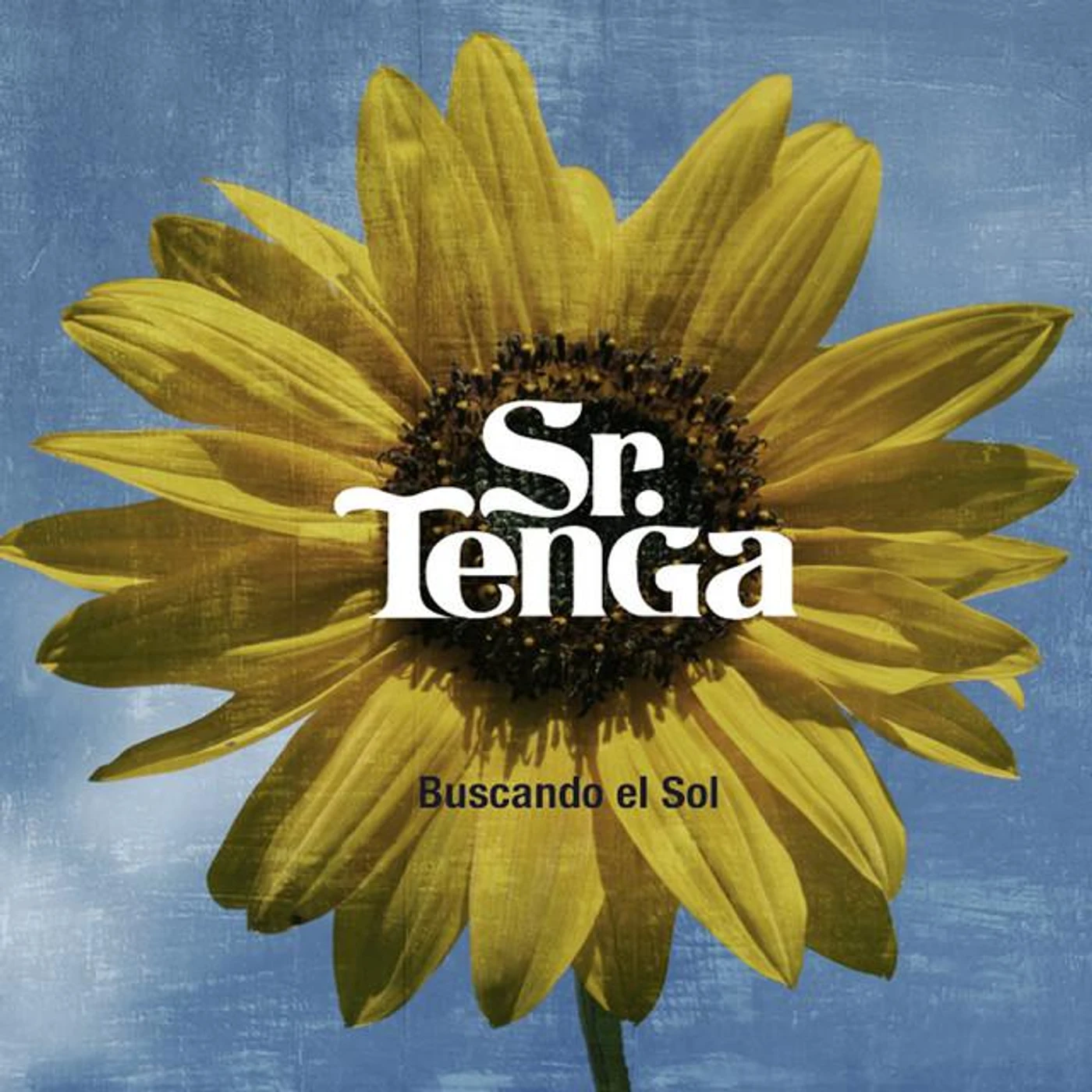Sr. Tenga Brand Page