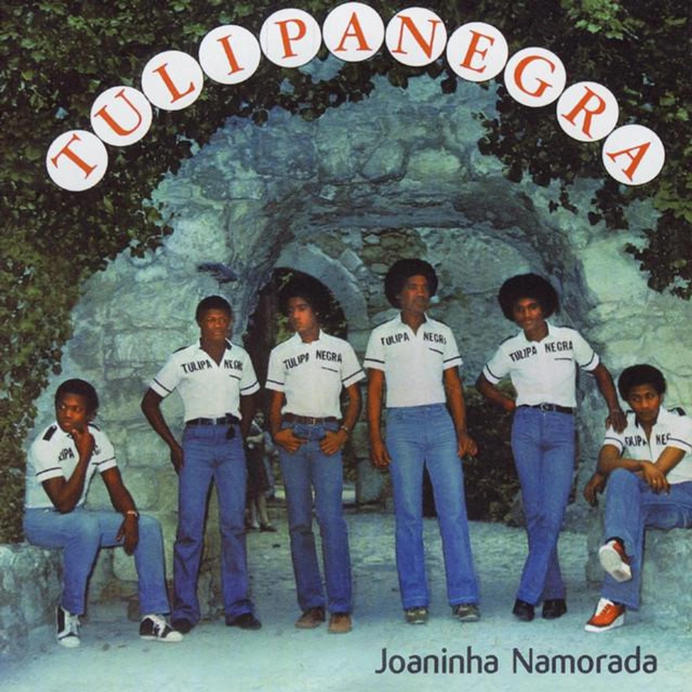 Tulipa Negra Brand Page