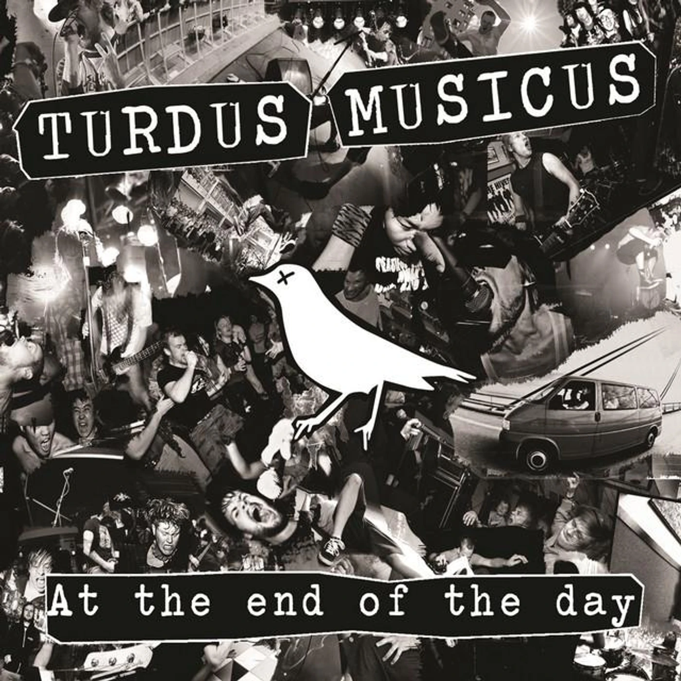Turdus Musicus Brand Page
