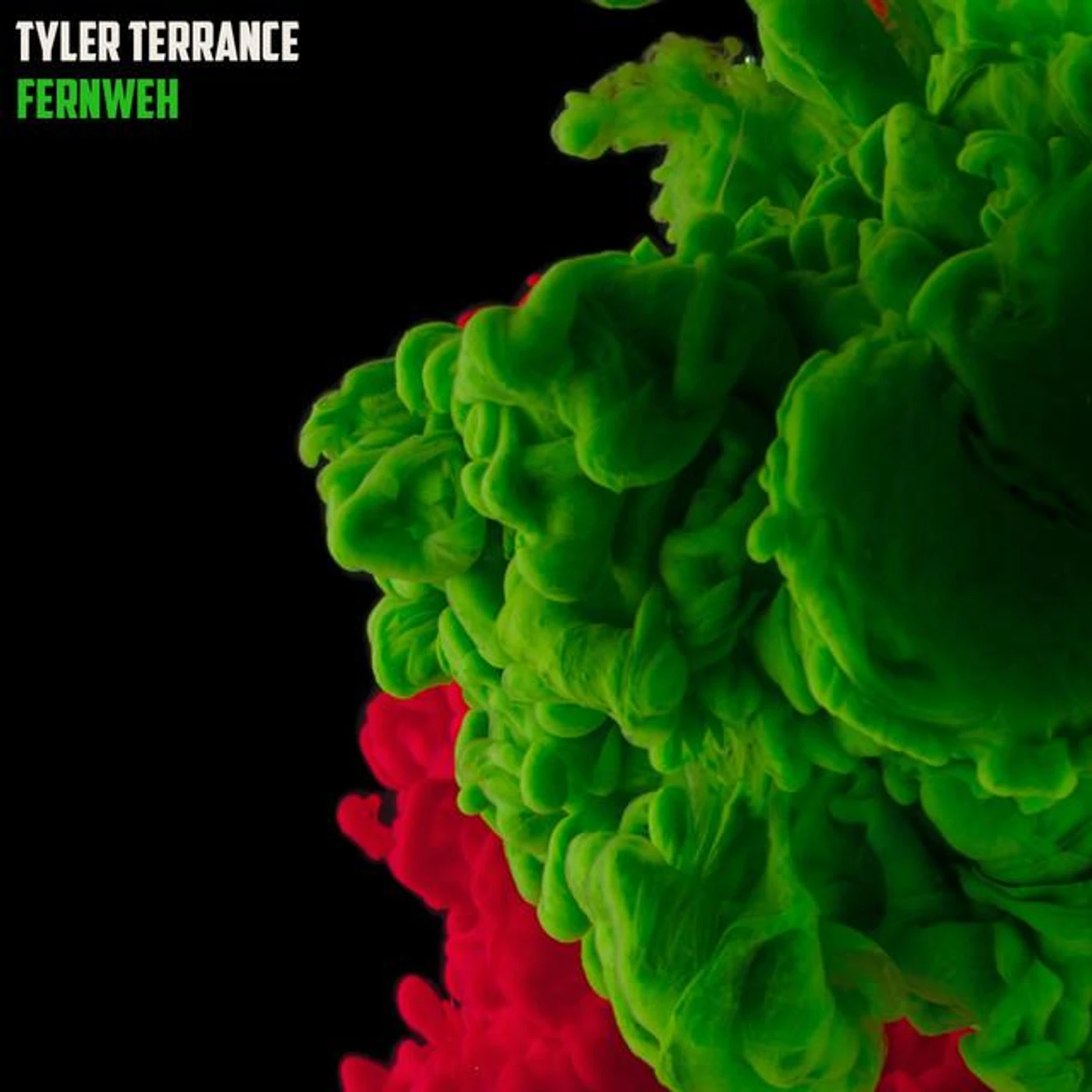 Tyler Terrance Brand Page