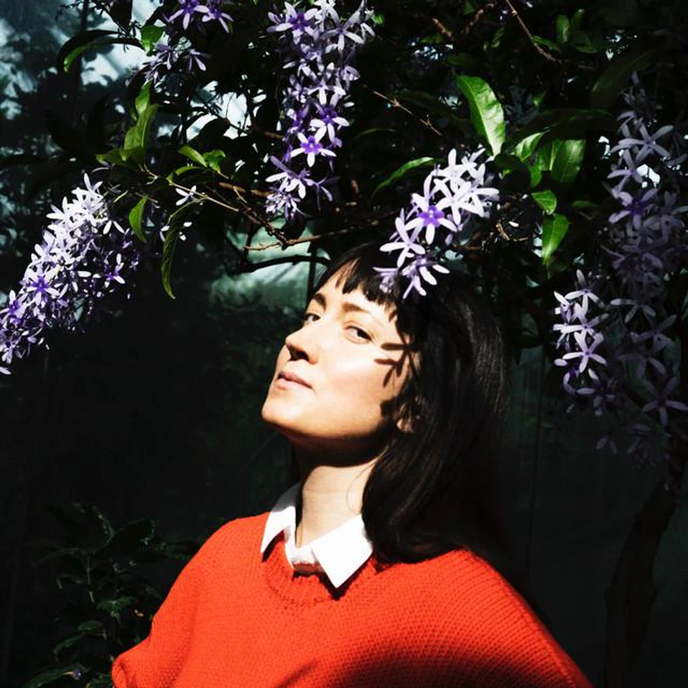 Taken By Trees Brand Page