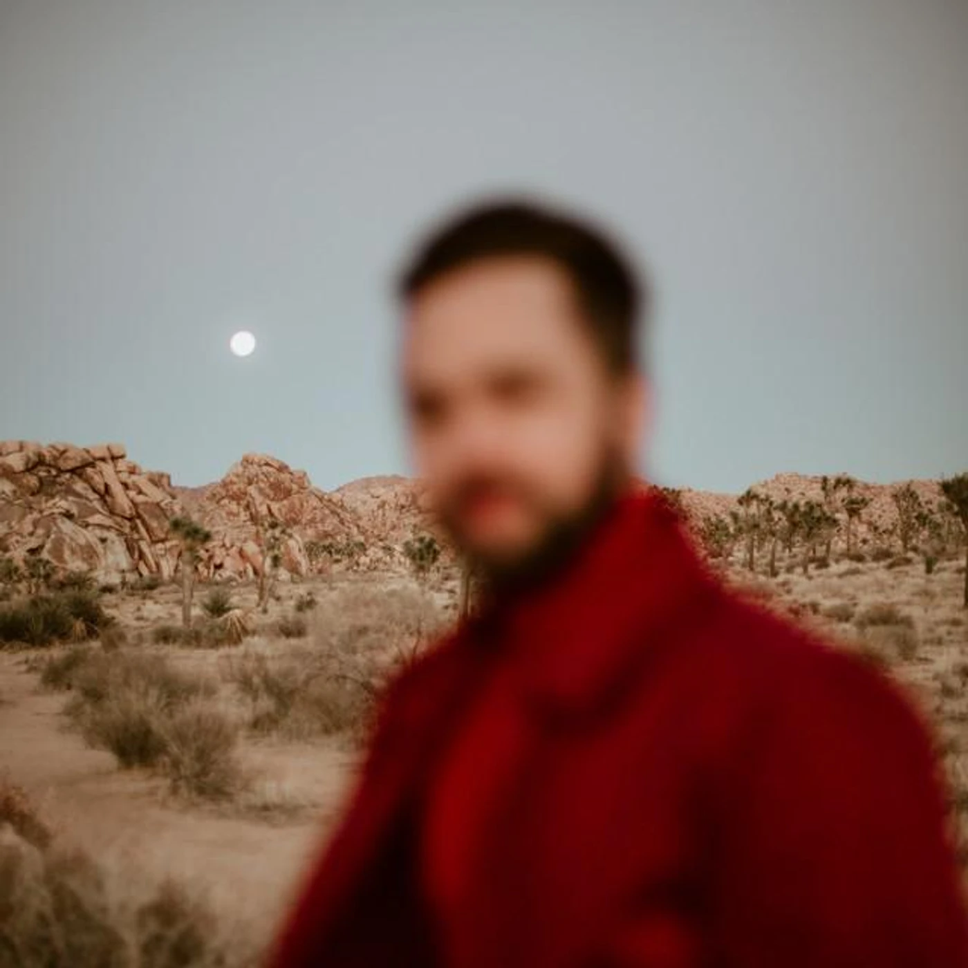 Tamer Brand Page