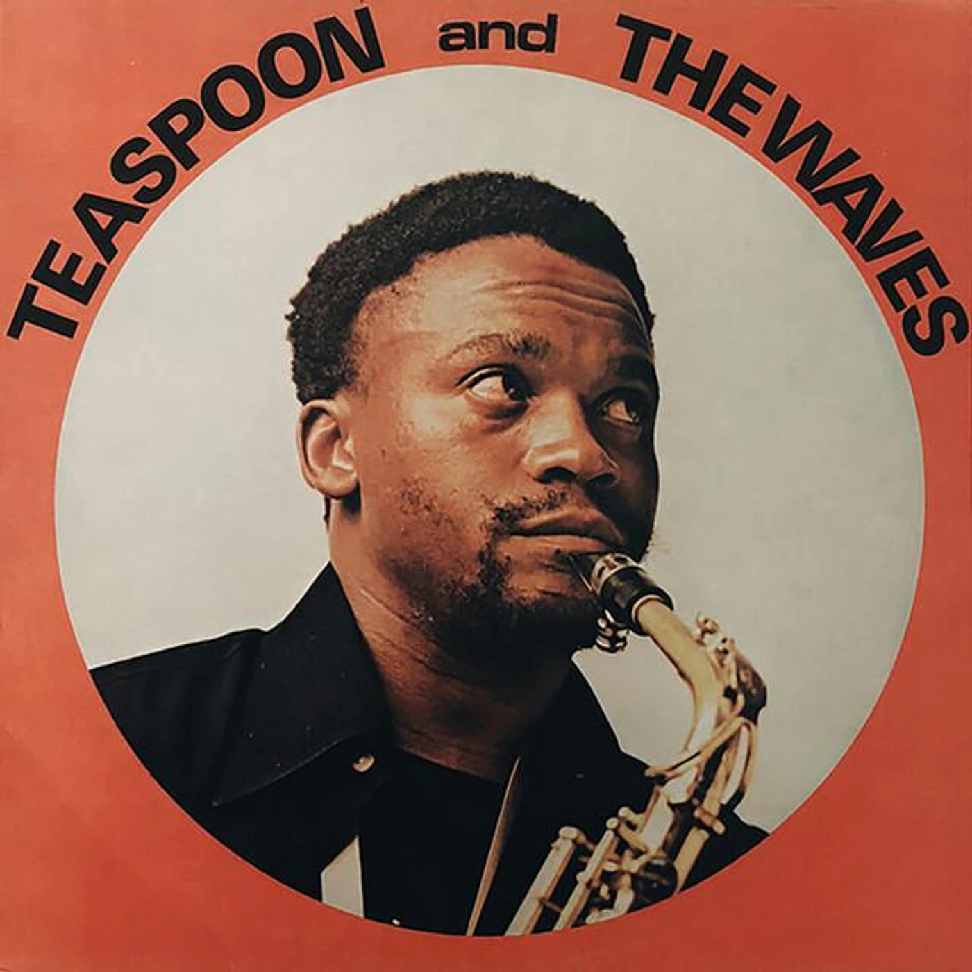Teaspoon and The Waves Brand Page