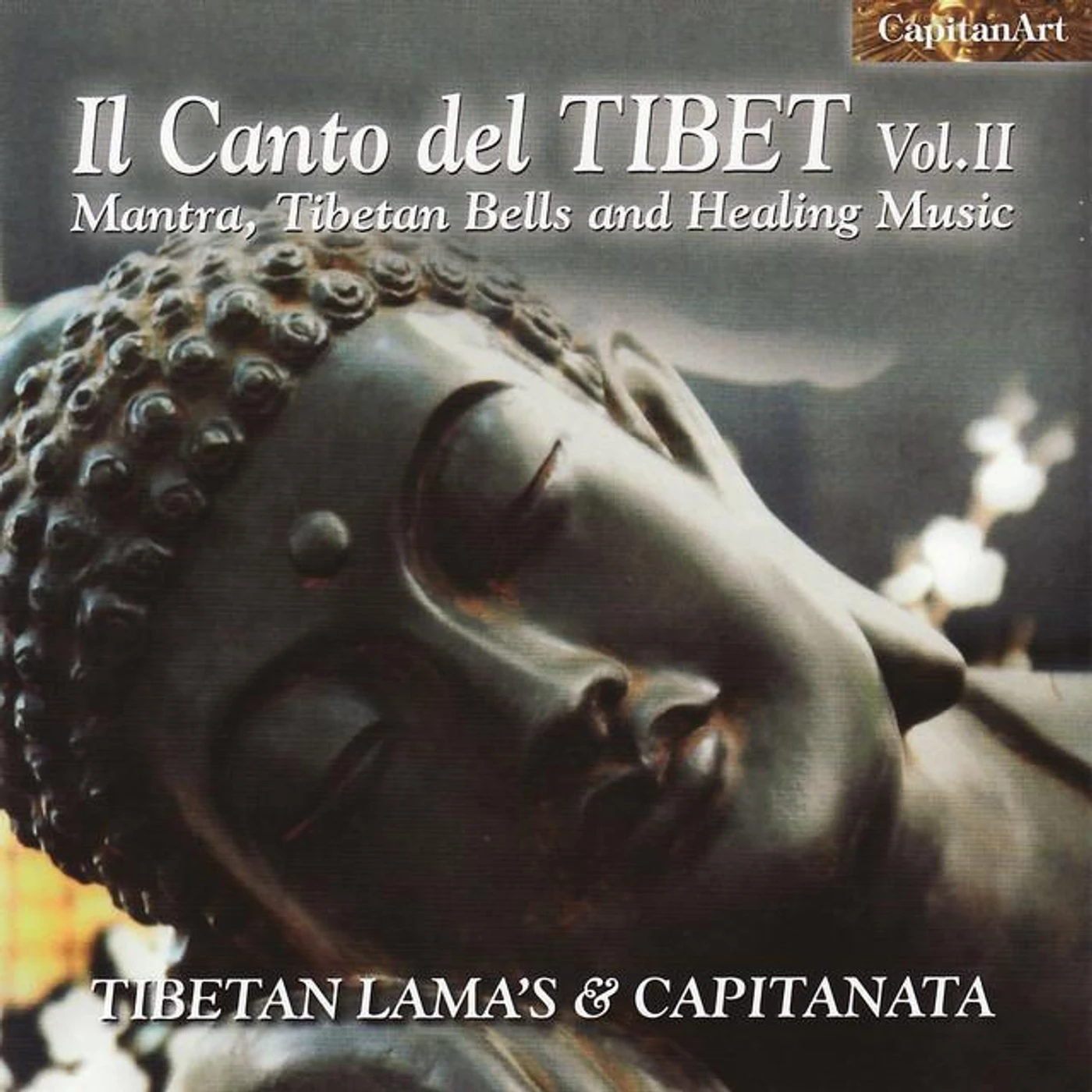 The Tibetan Lamas