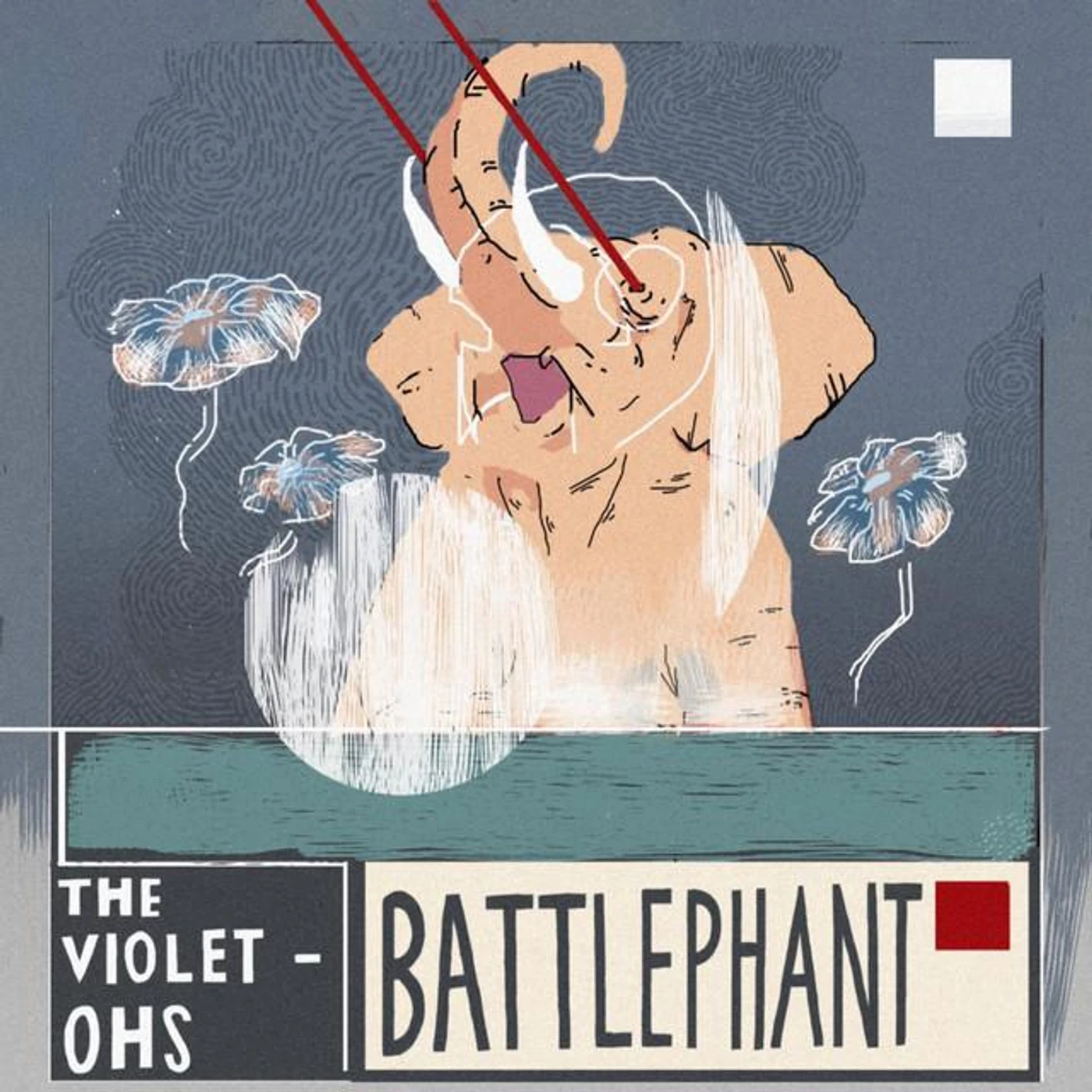 The Violet-Ohs