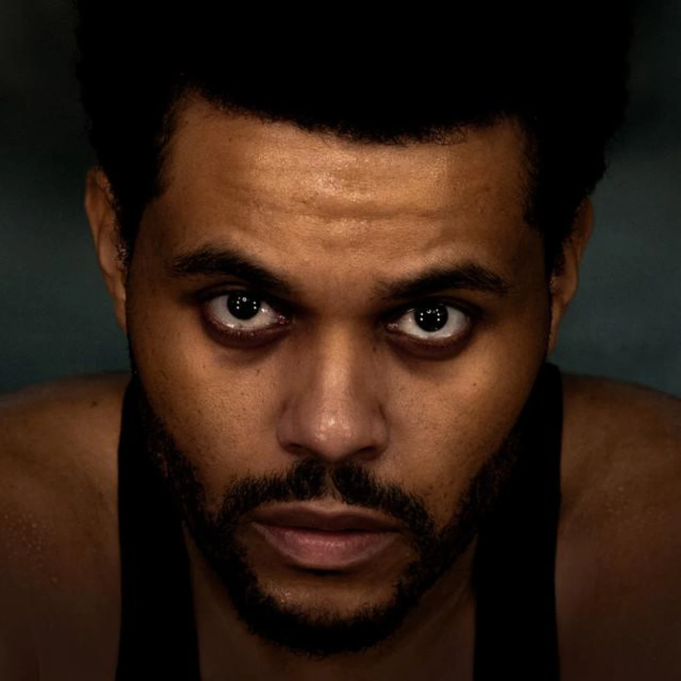 The Weeknd Brand Page