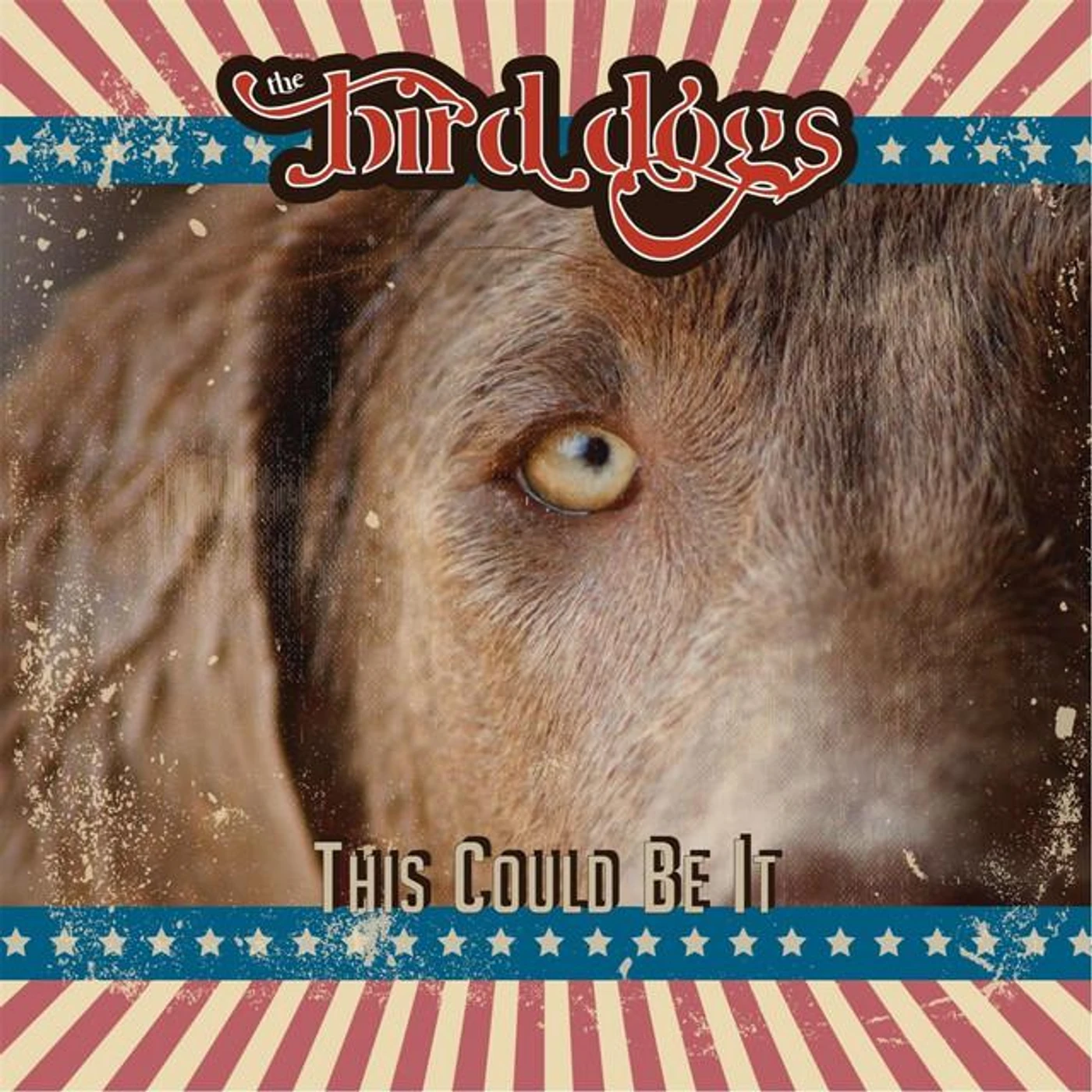 The Bird Dogs Brand Page