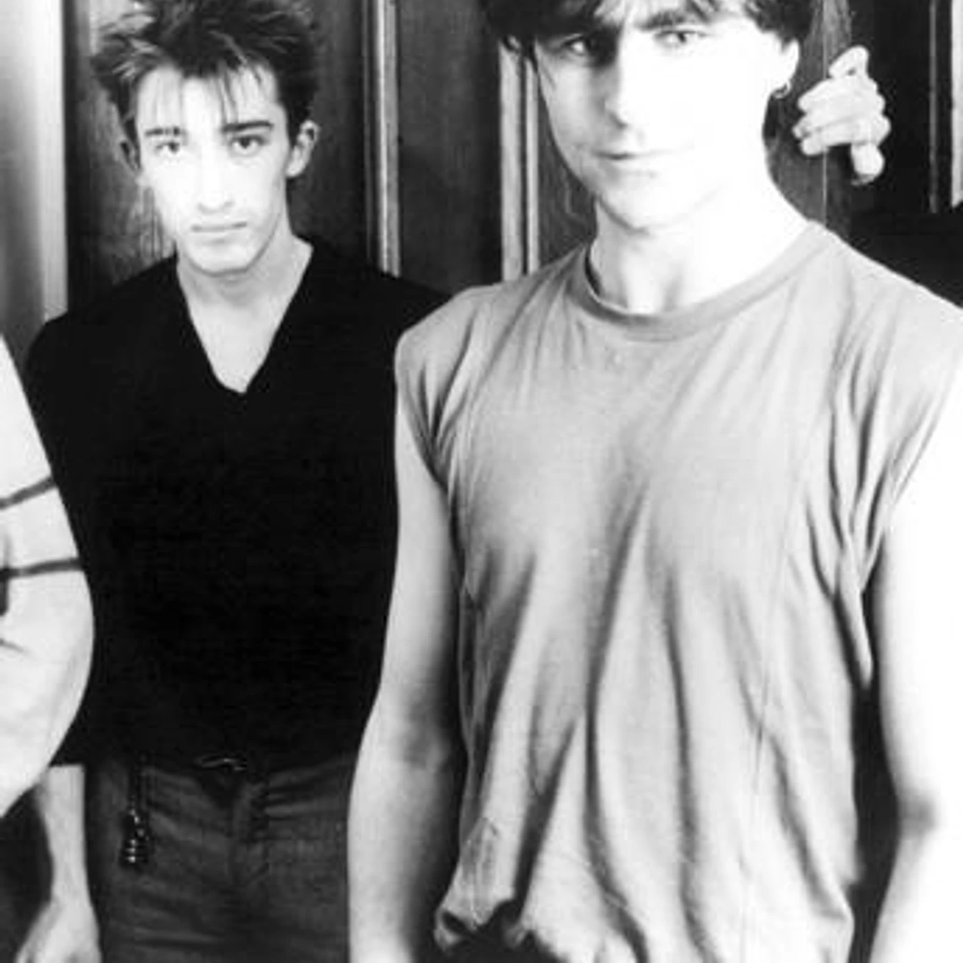 The Chameleons Brand Page