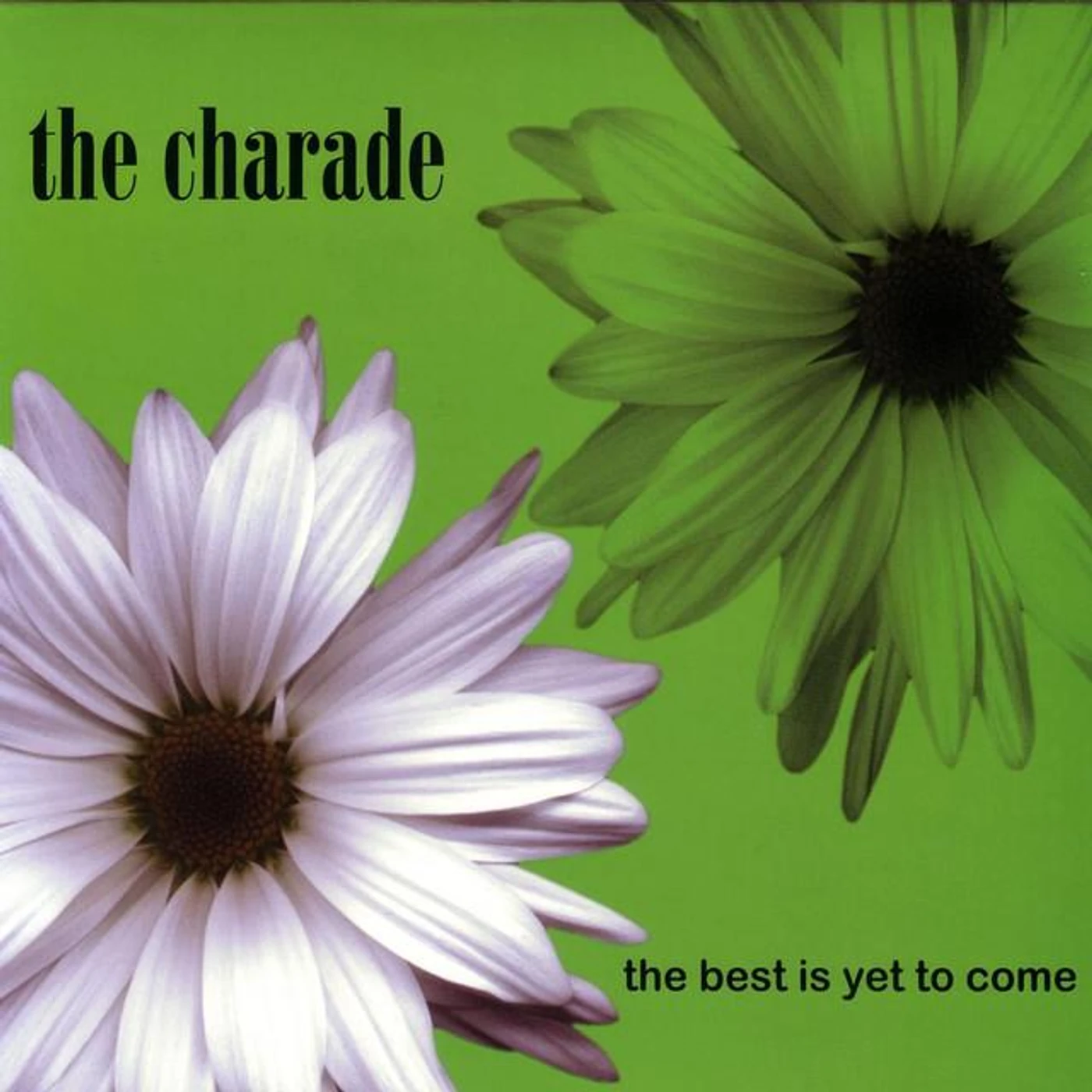 The Charade Brand Page