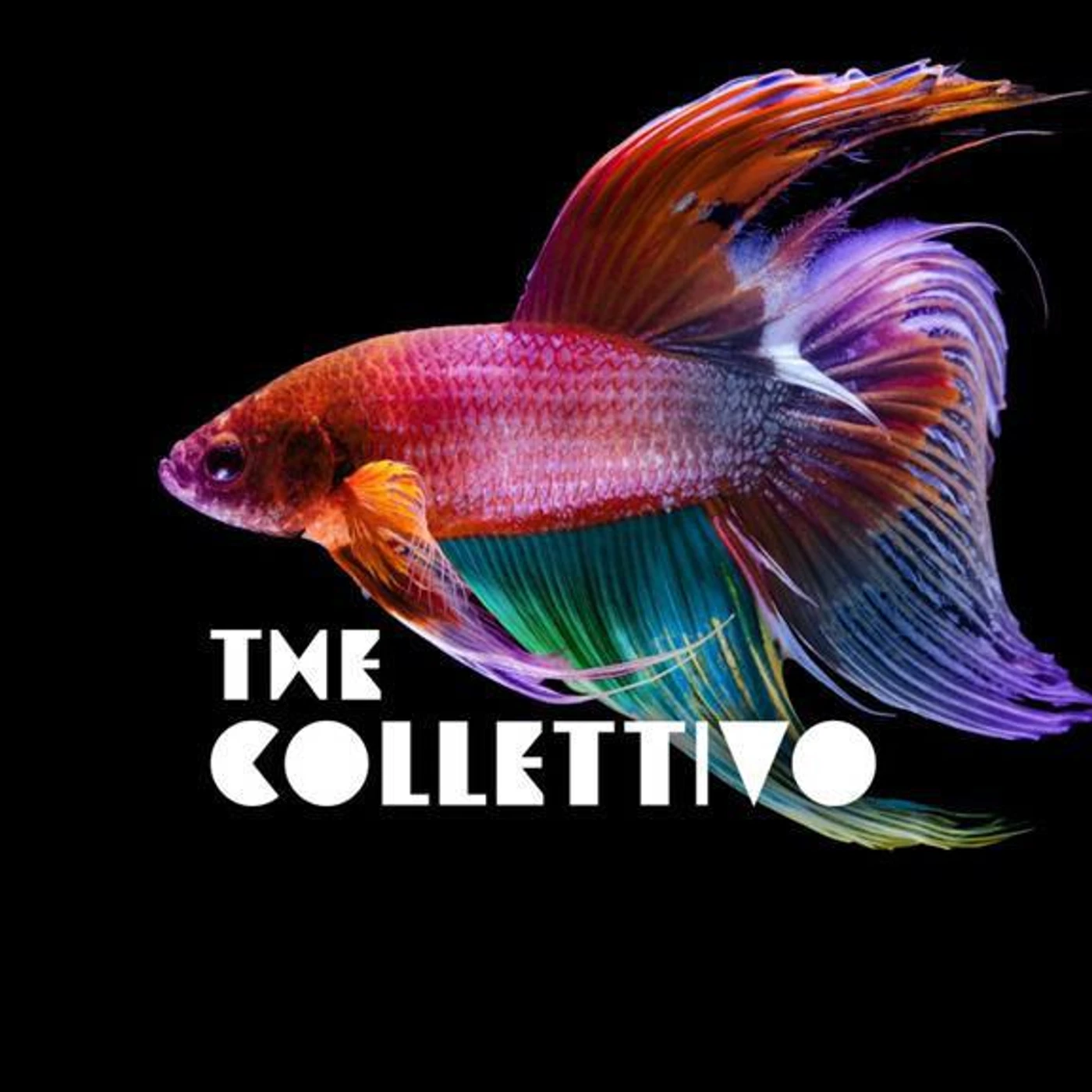 The Collettivo