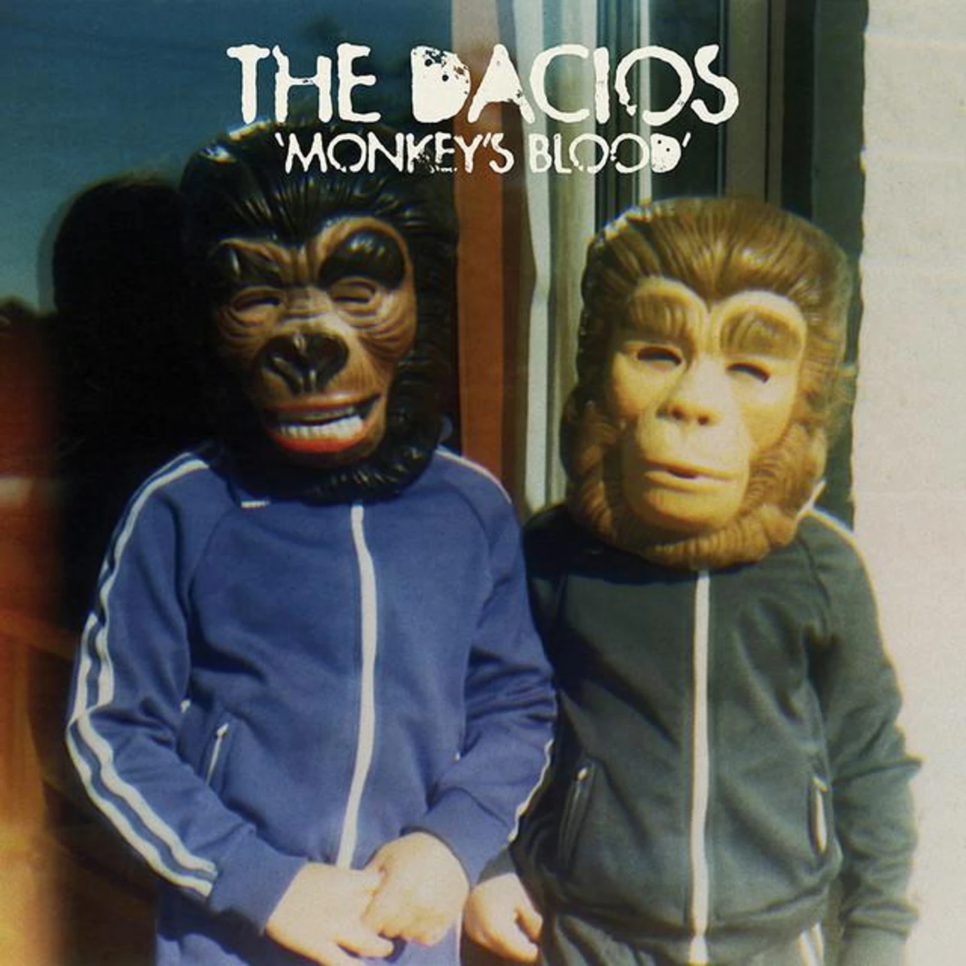 The Dacios Brand Page