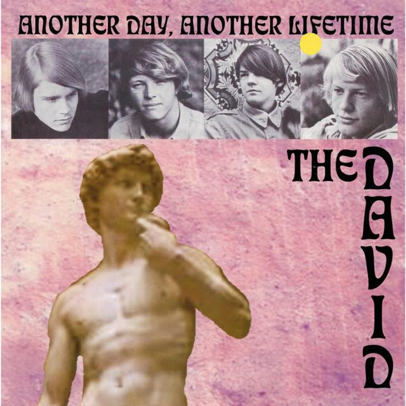The David Brand Page