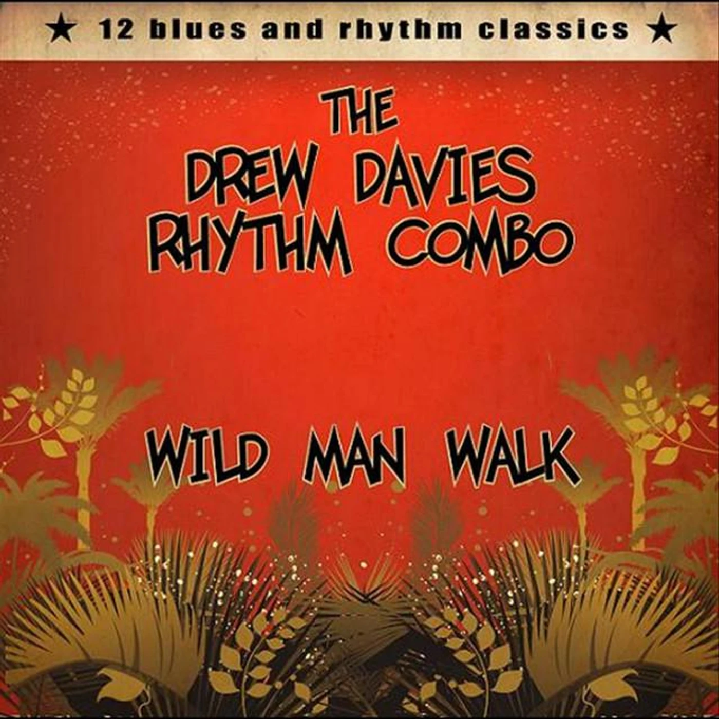 The Drew Davies Rhythm Combo