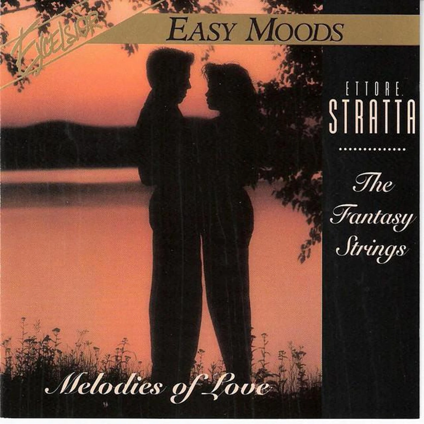 The Fantasy Strings