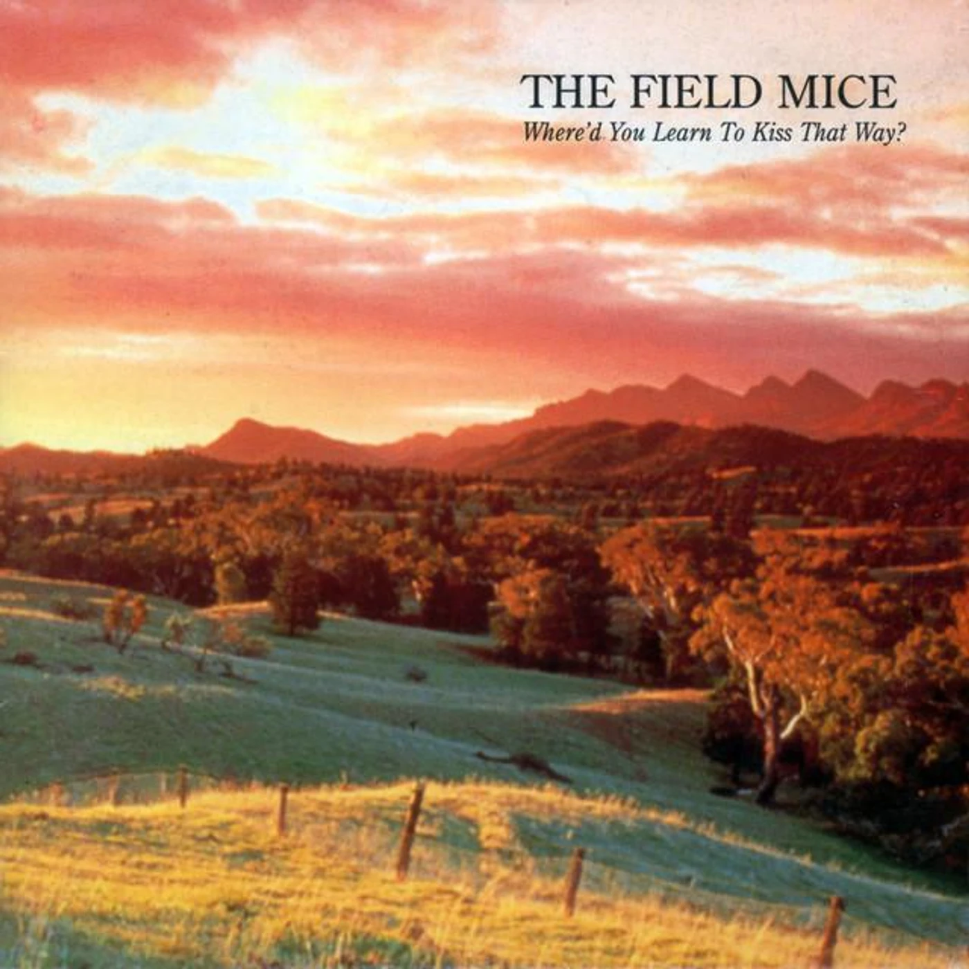 The Field Mice Brand Page