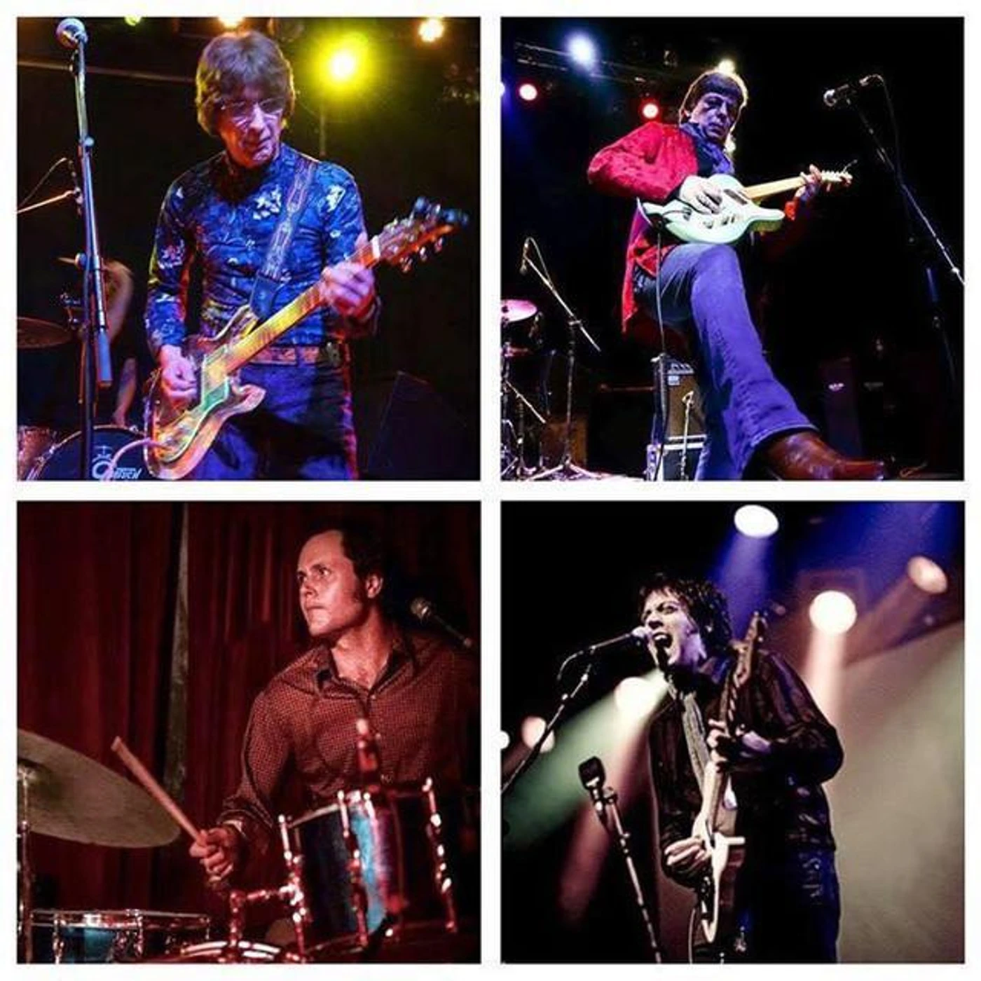 Flamin' Groovies Brand Page