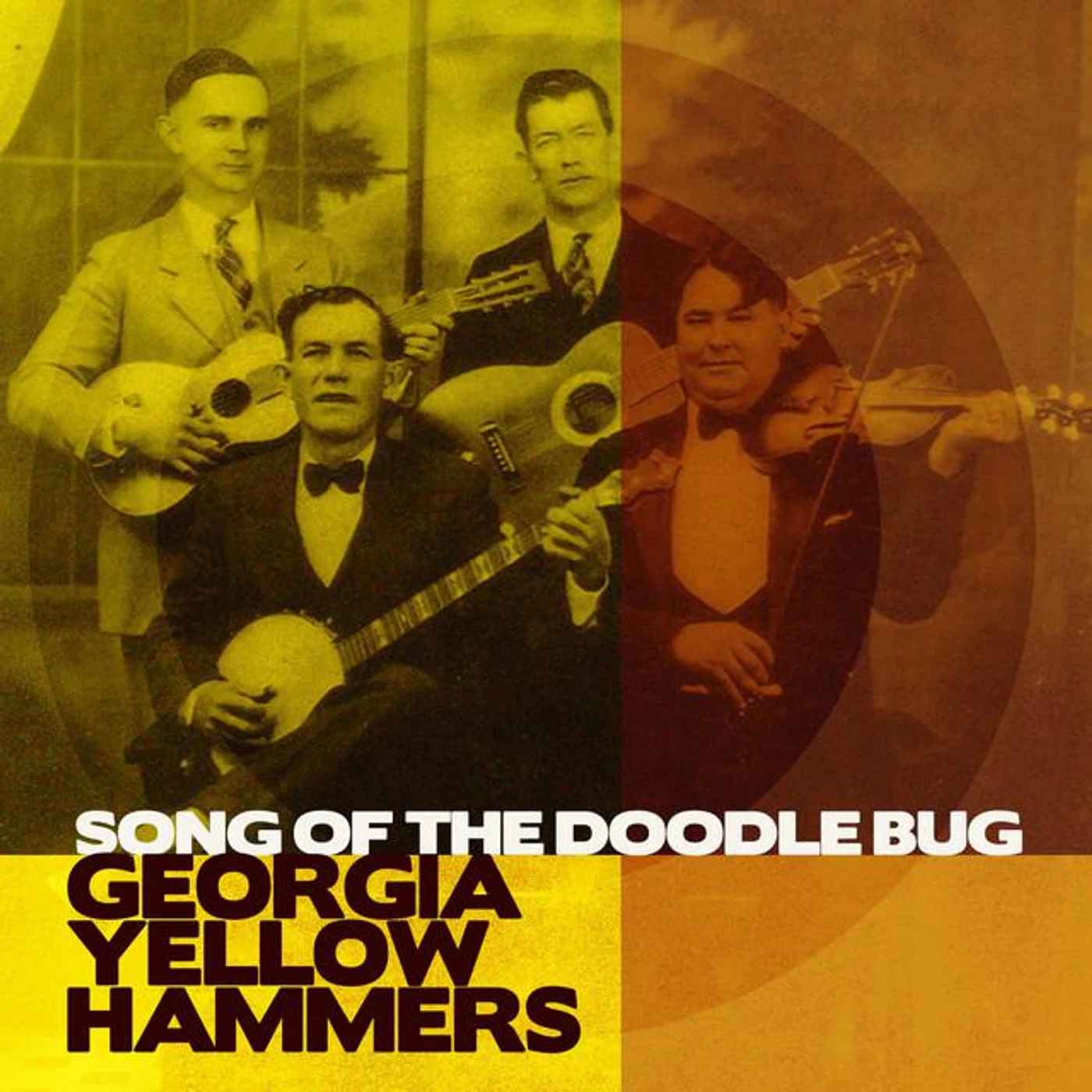 Georgia Yellow Hammers Brand Page