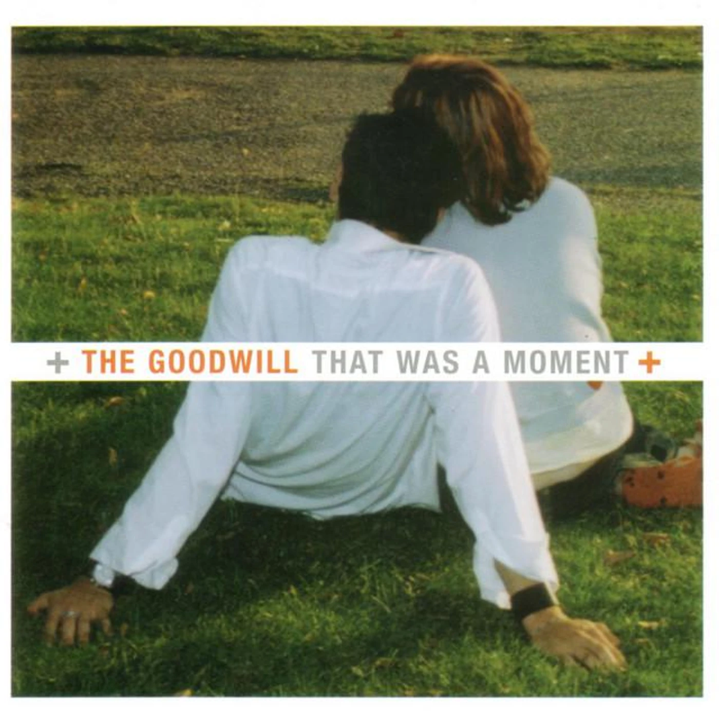 The Goodwill