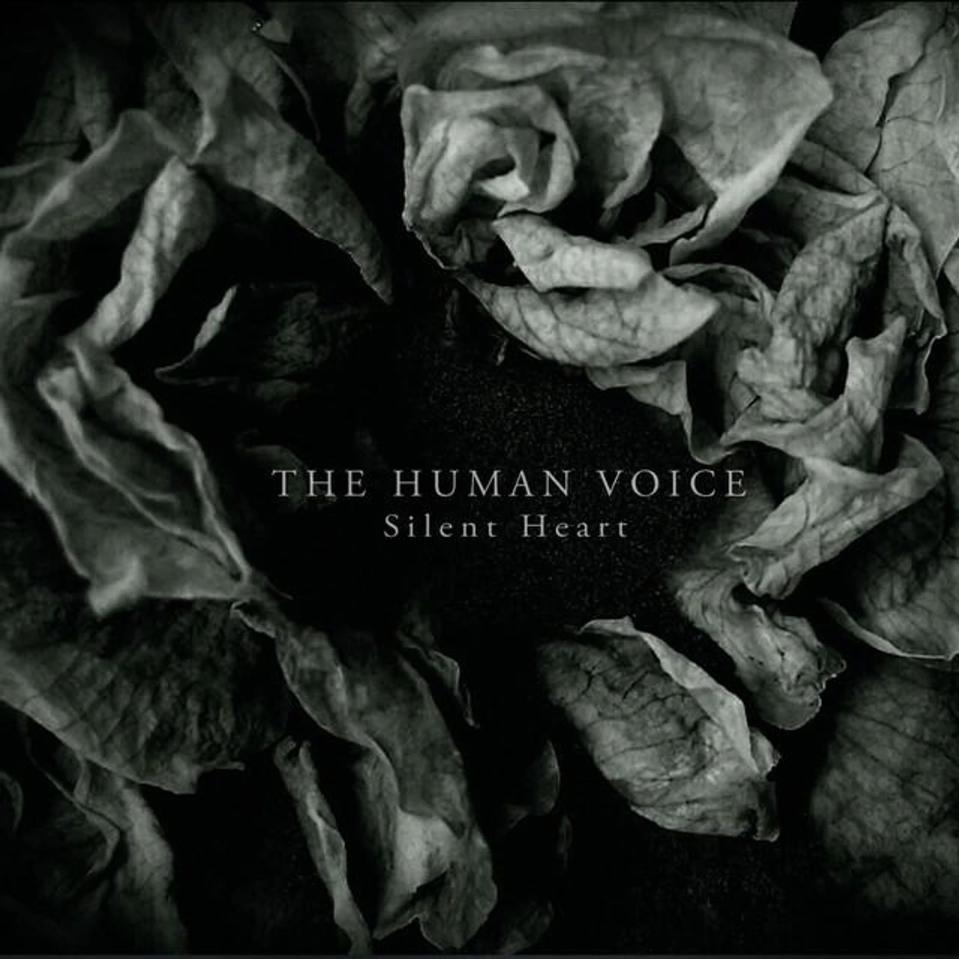The Human Voice Brand Page