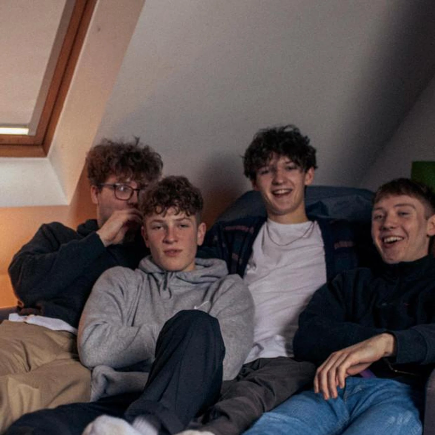 The LEVIS