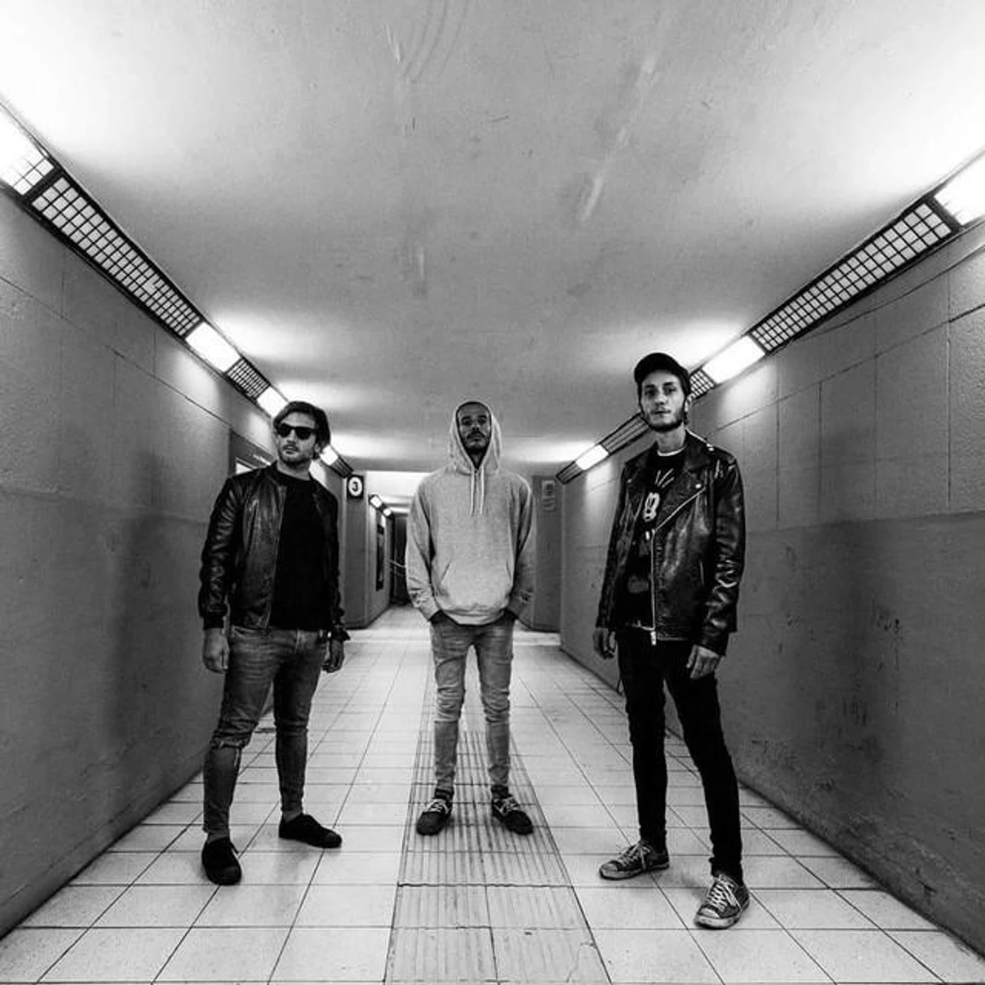 The Livermores Brand Page