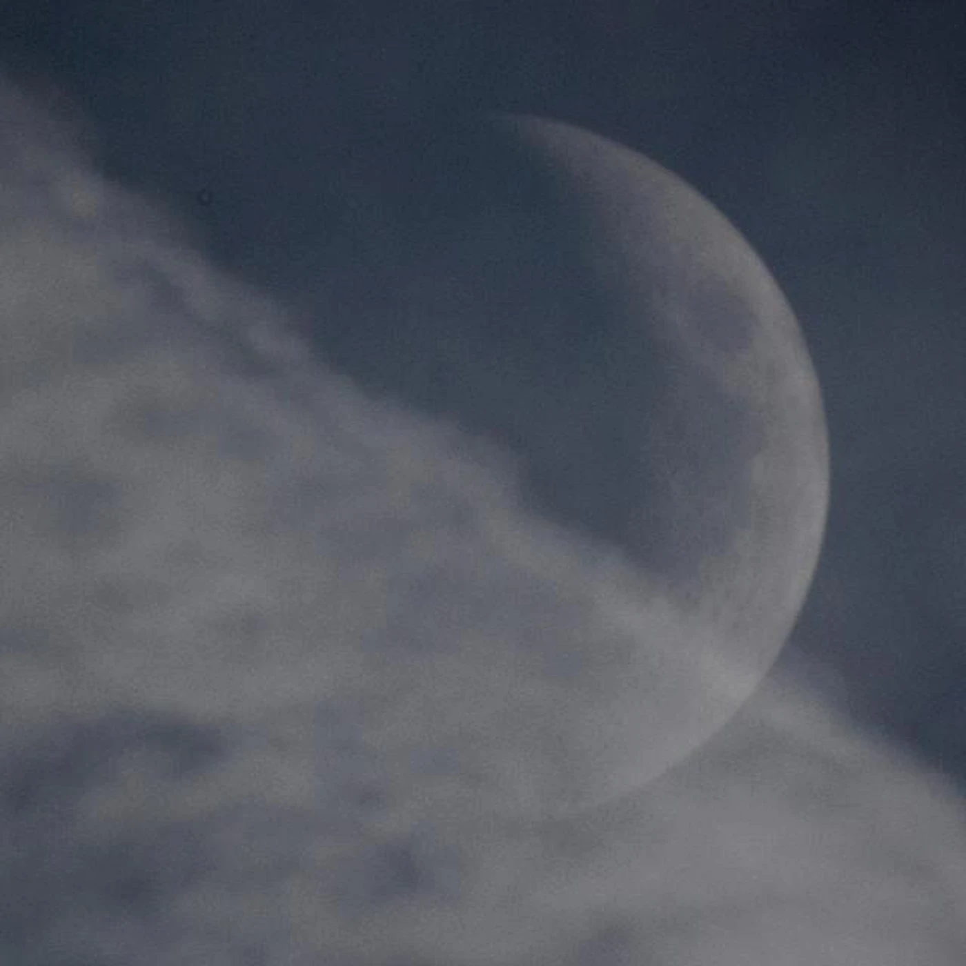 The Lovely Moon Brand Page