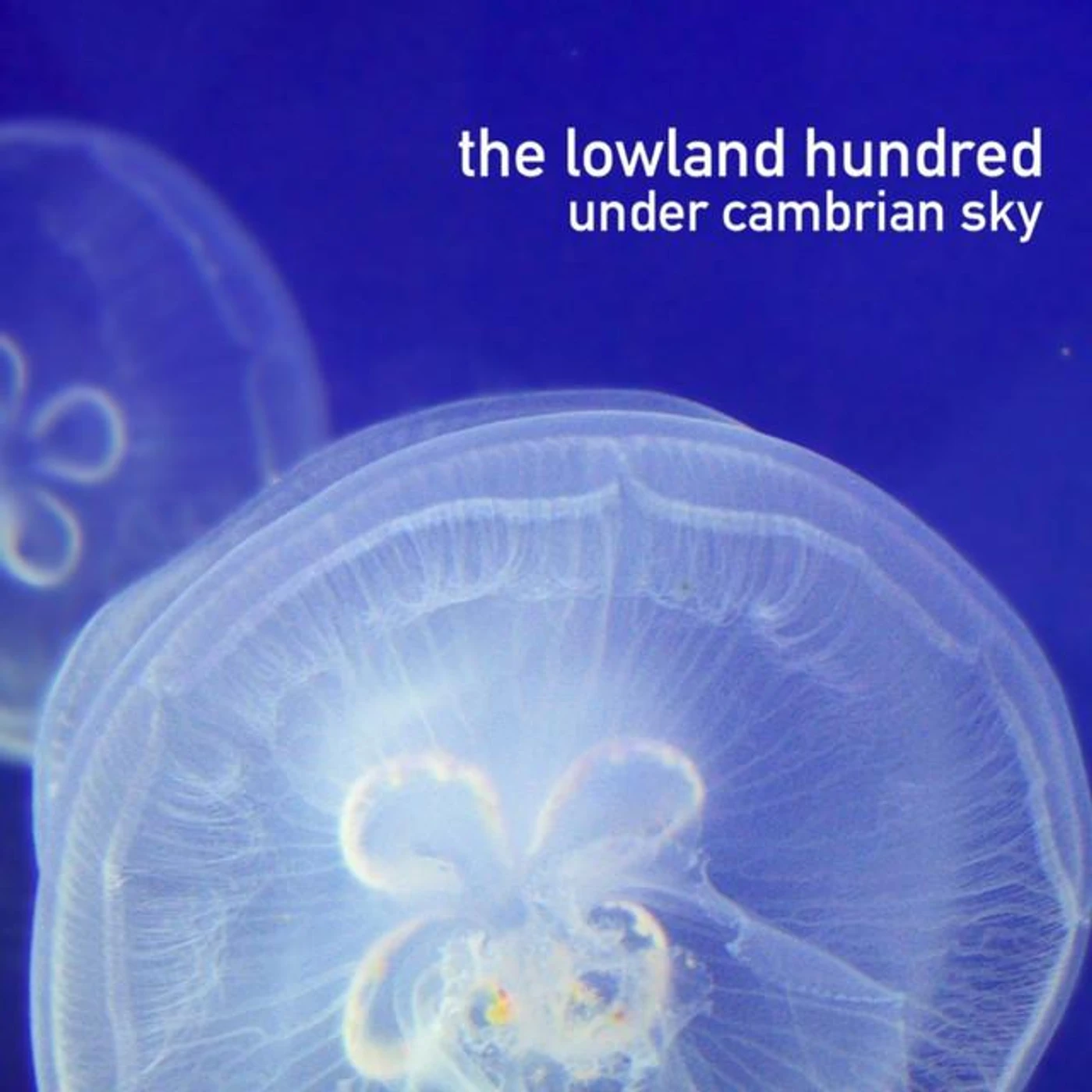 The Lowland Hundred